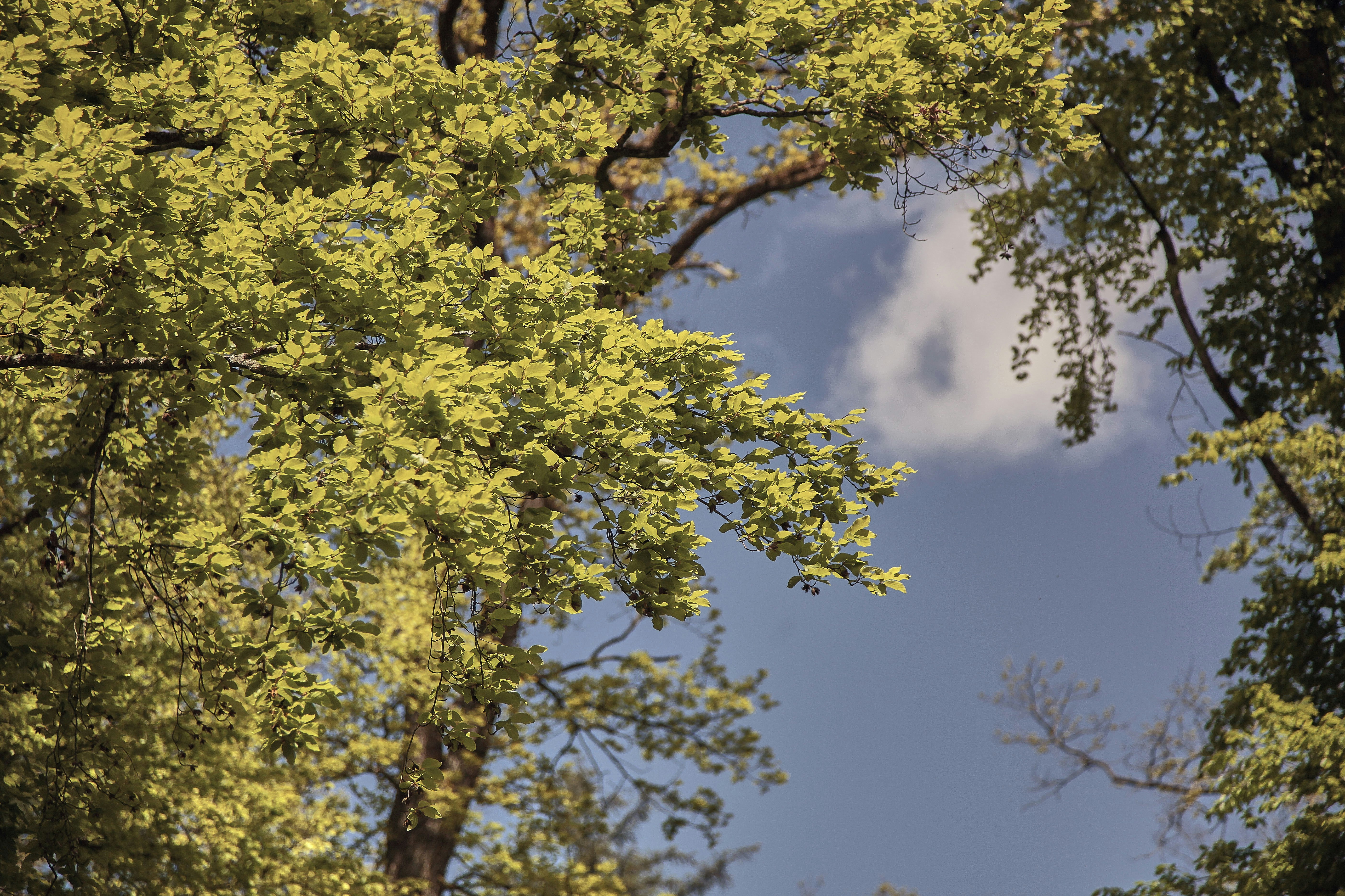 Photo by quadratmedia