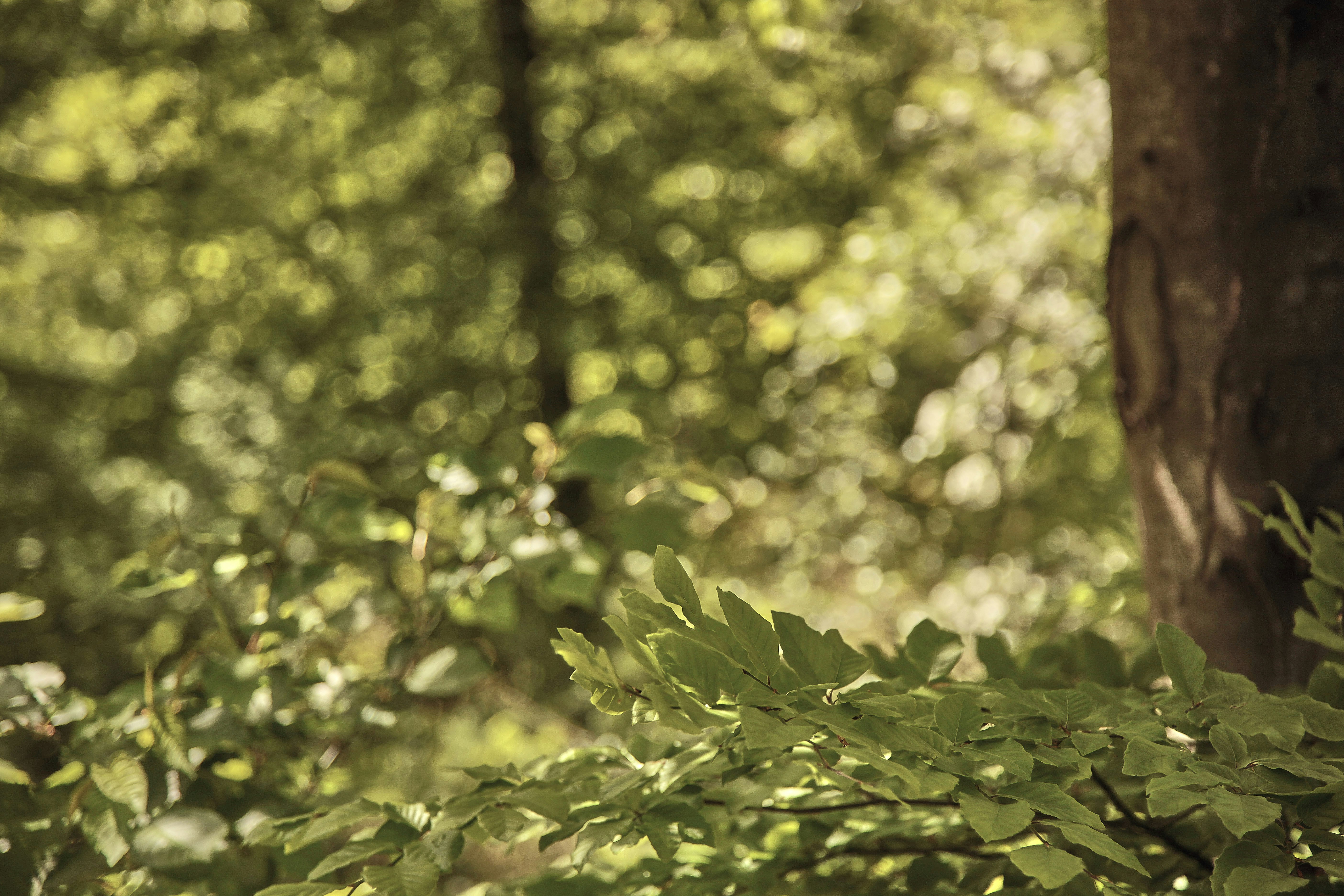 Photo by quadratmedia