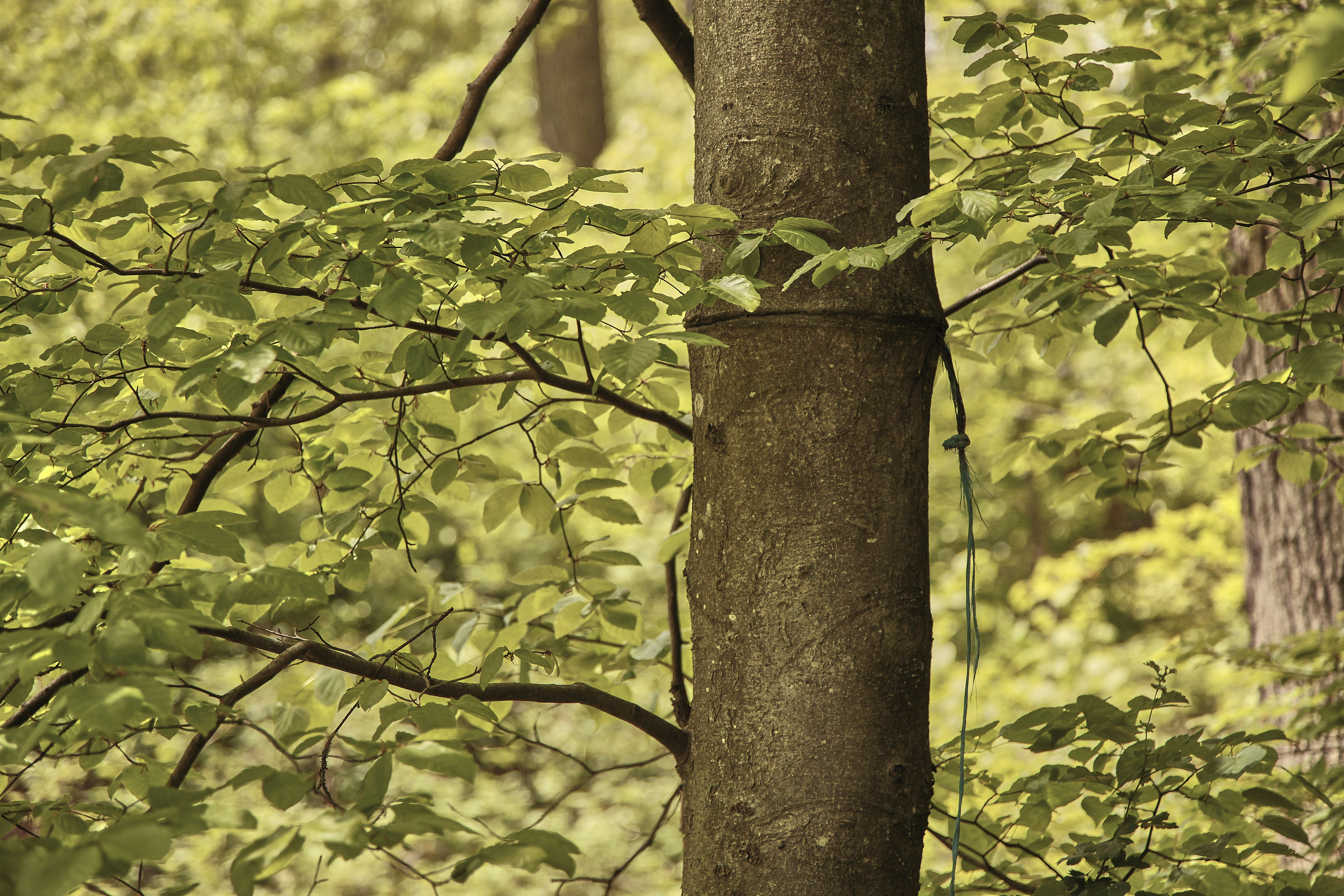 Photo by quadratmedia