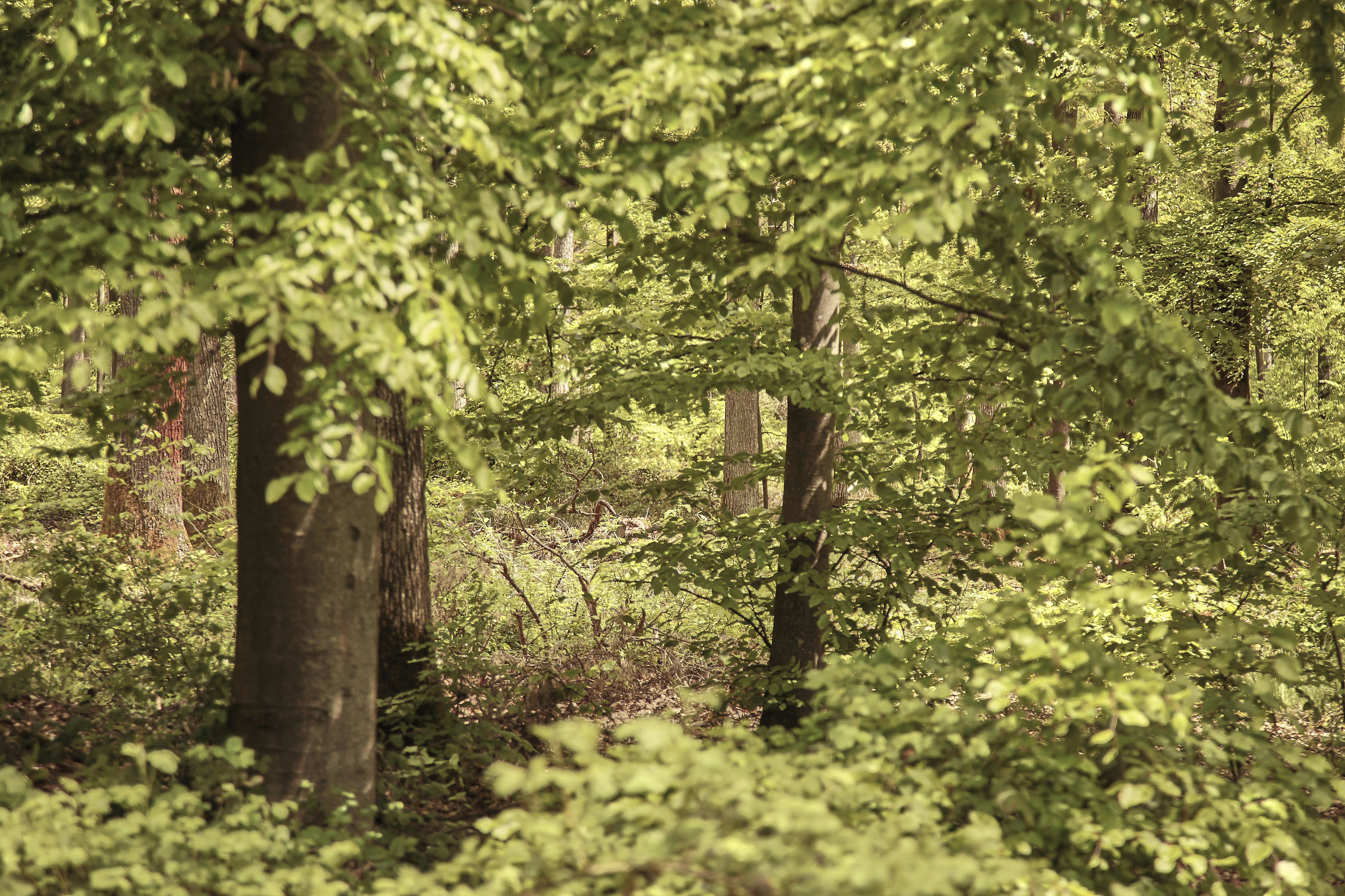 Photo by quadratmedia