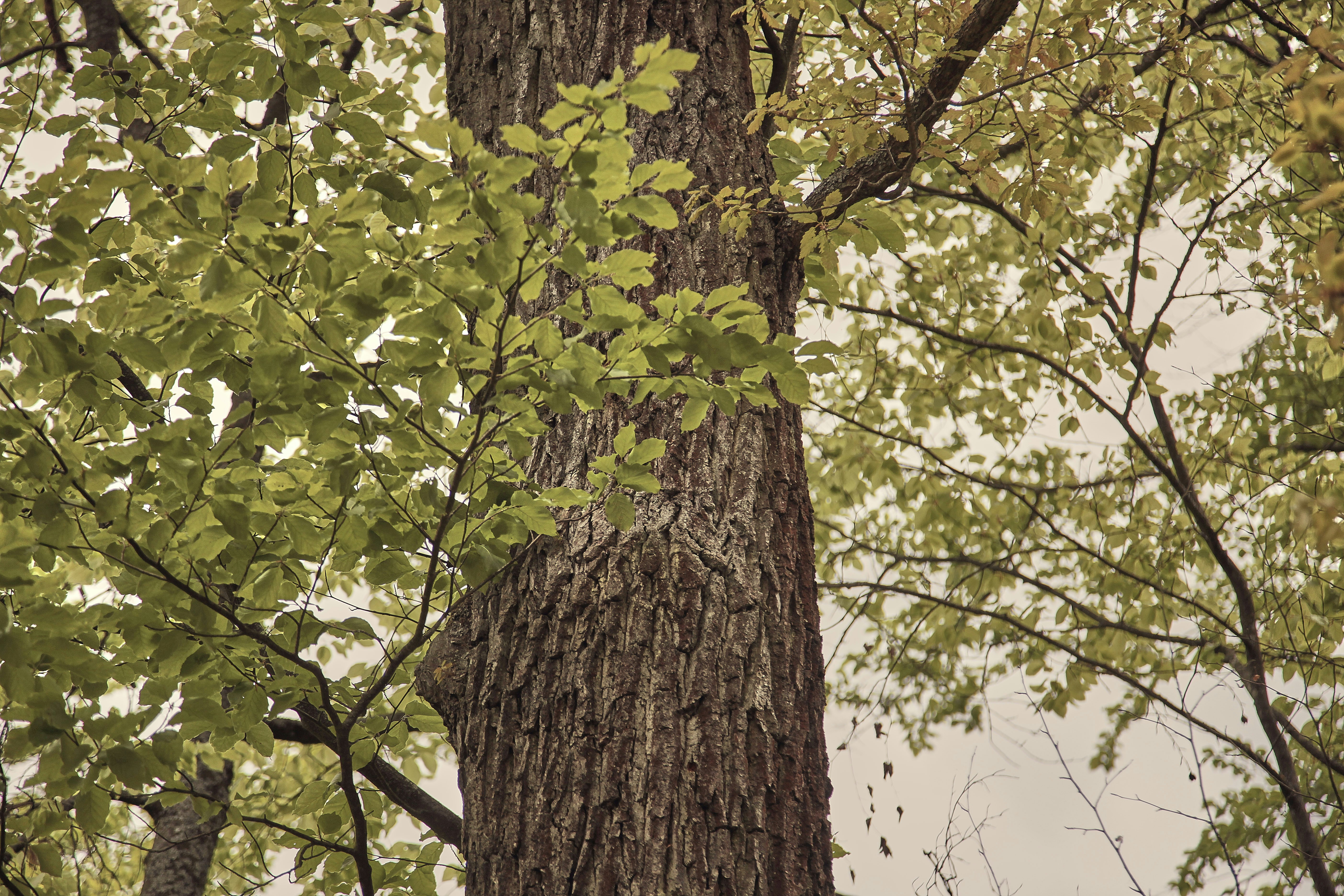 Photo by quadratmedia