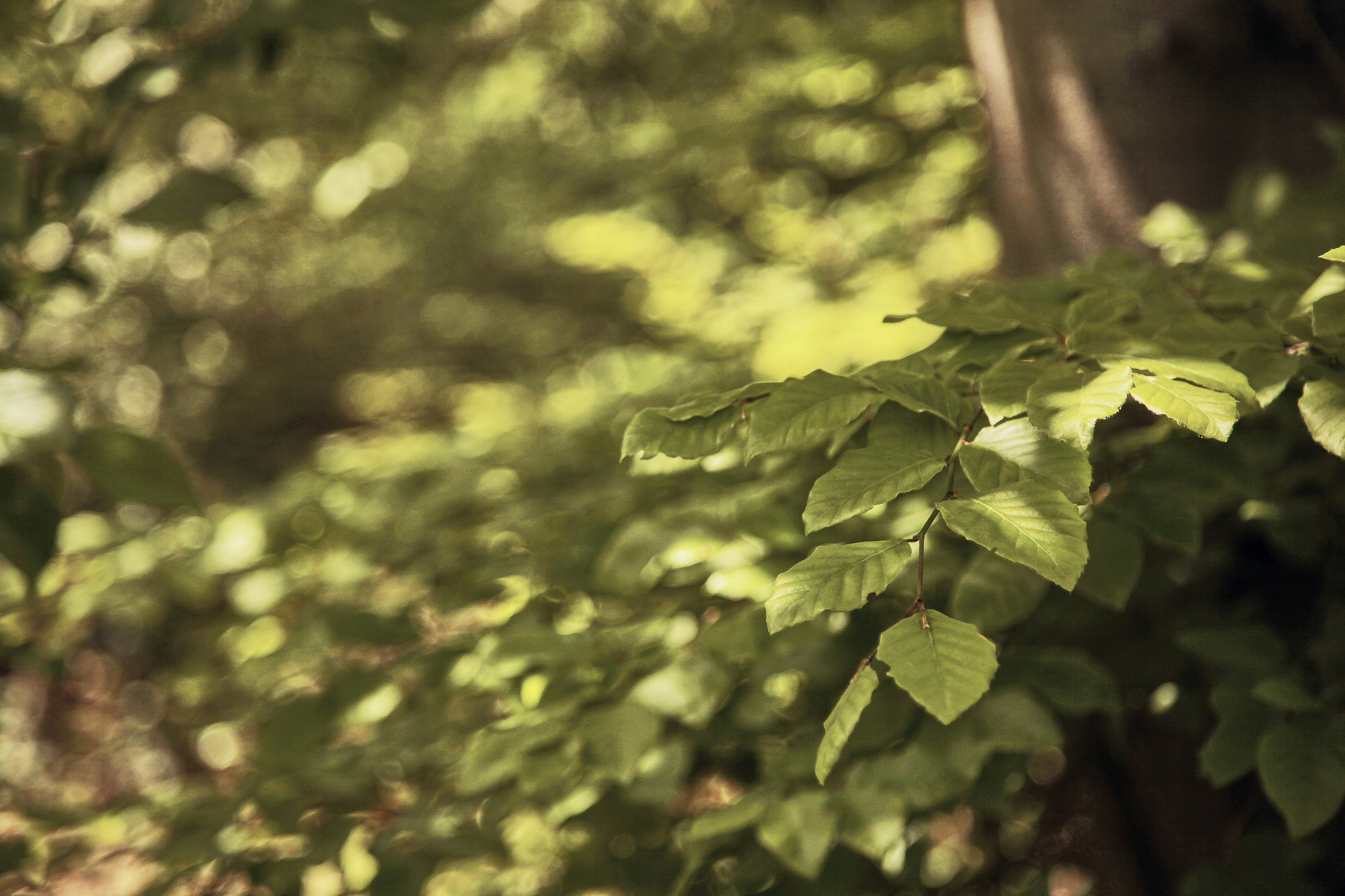 Photo by quadratmedia