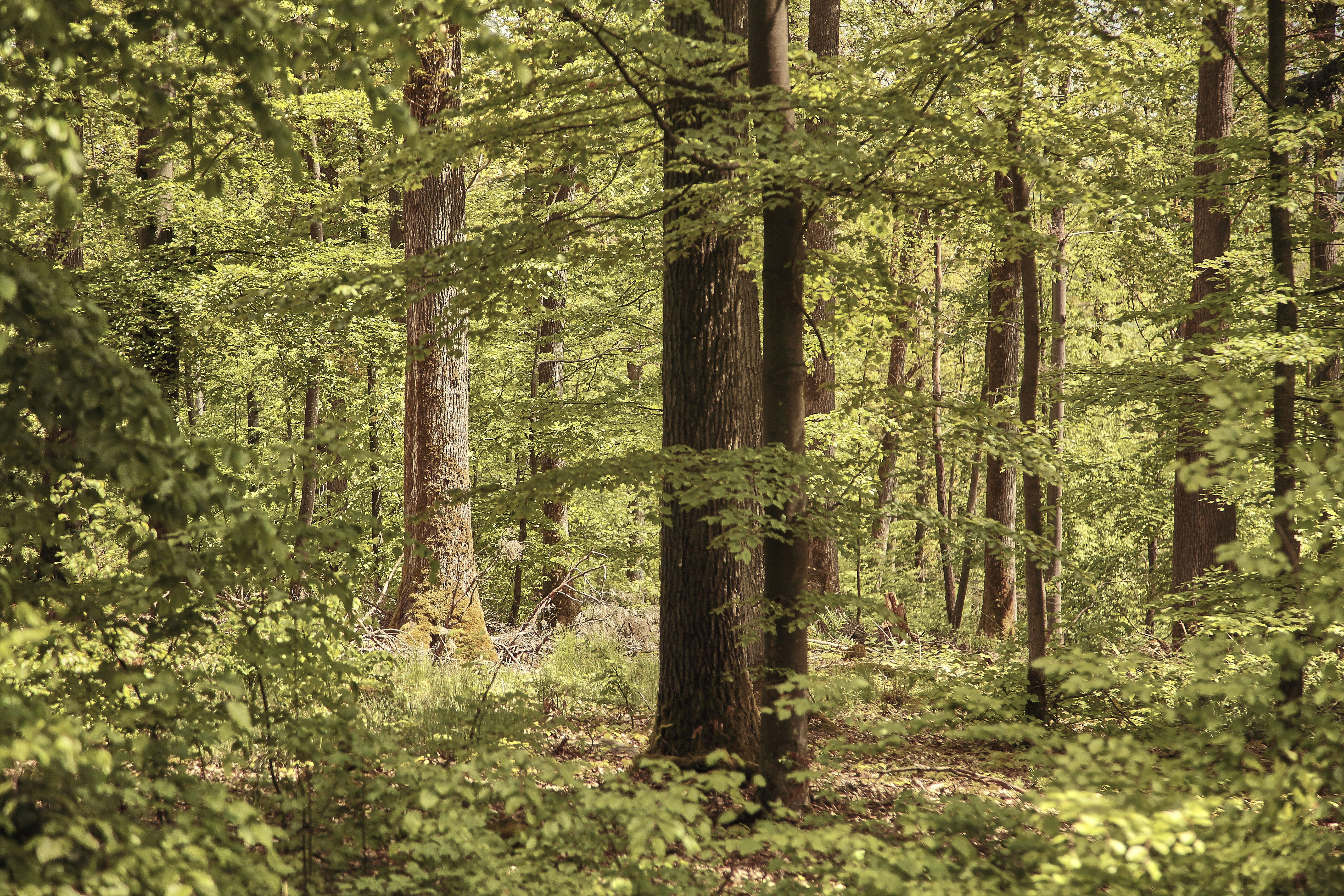 Photo by quadratmedia