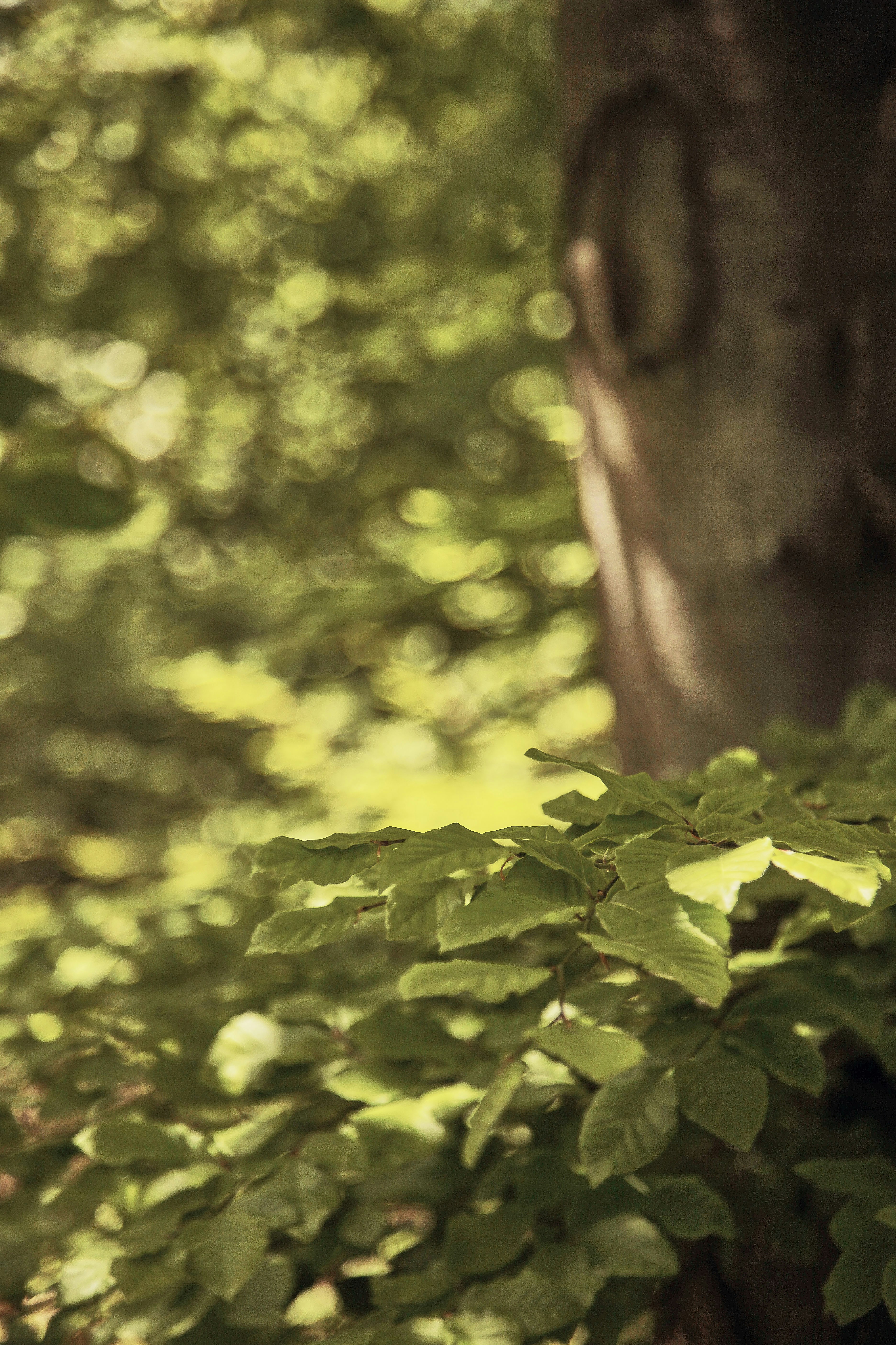 Photo by quadratmedia