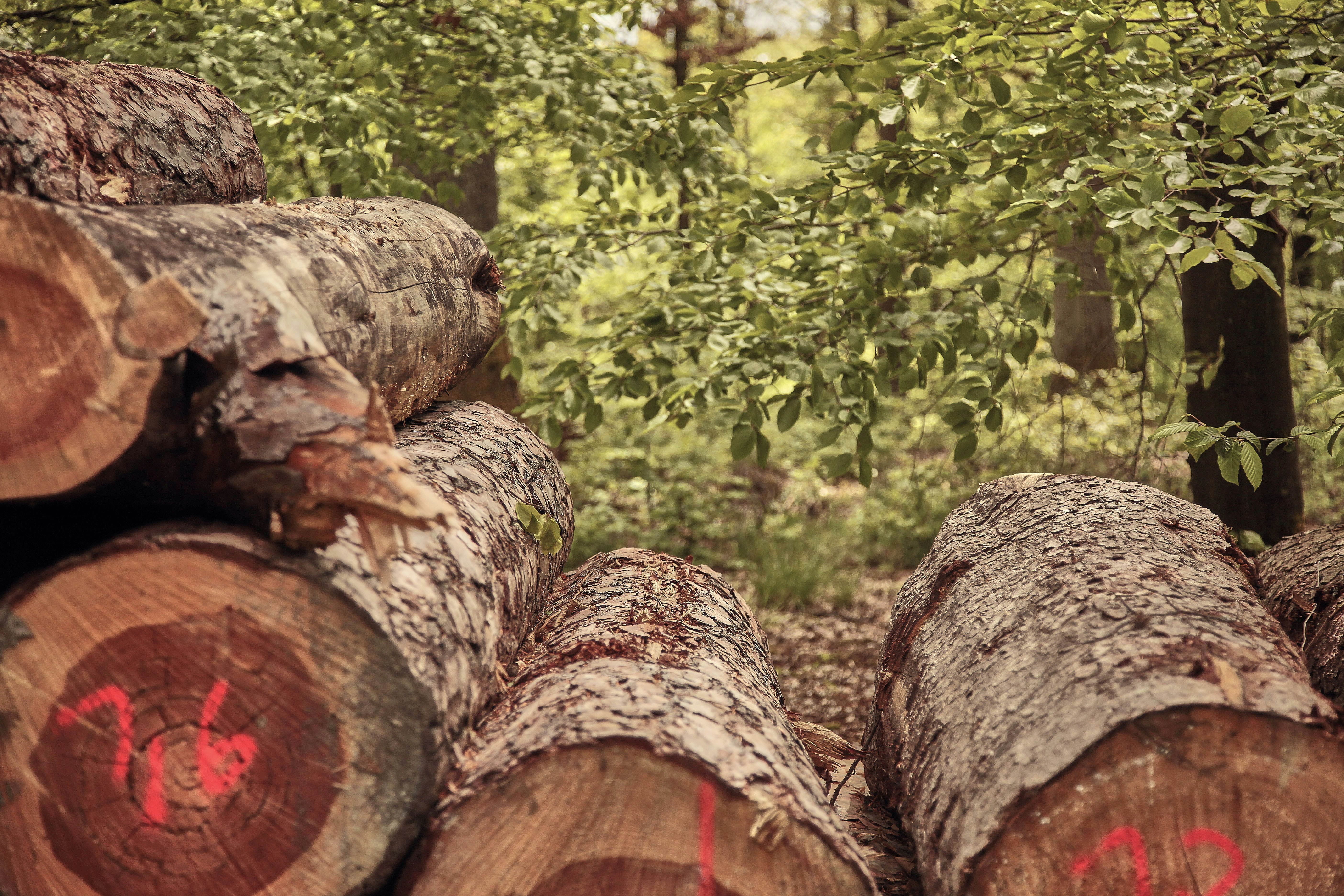 Photo by quadratmedia