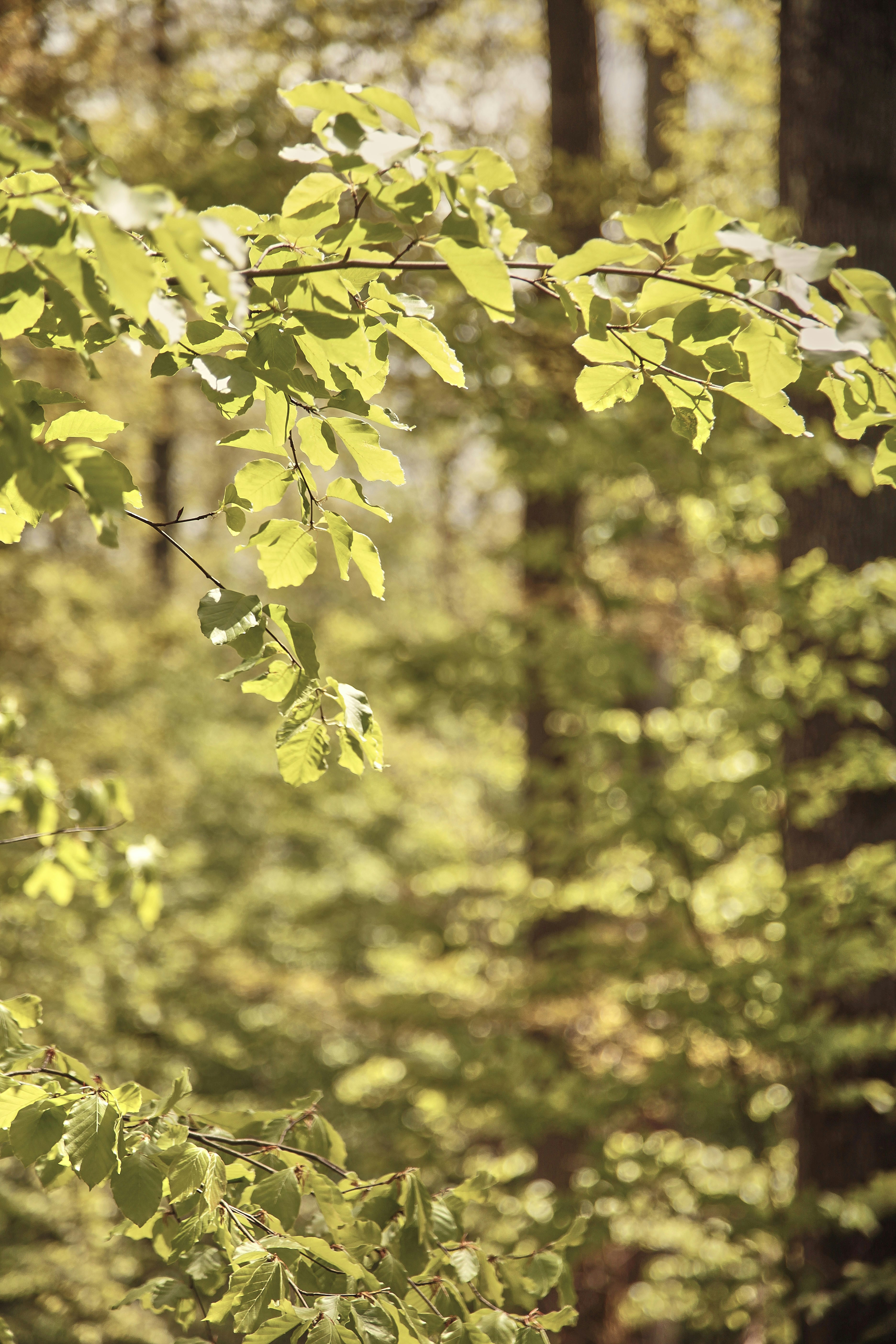 Photo by quadratmedia