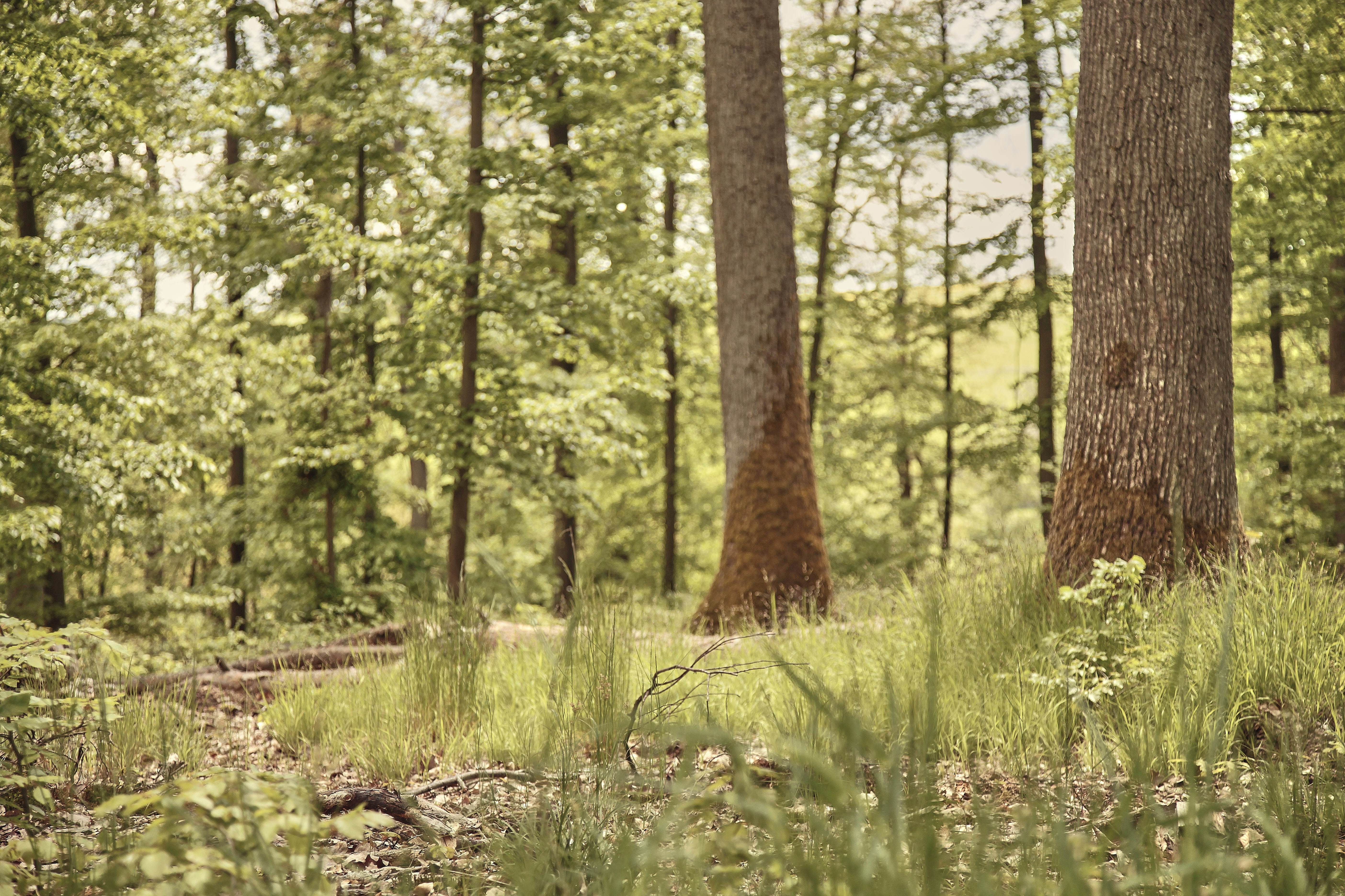 Photo by quadratmedia