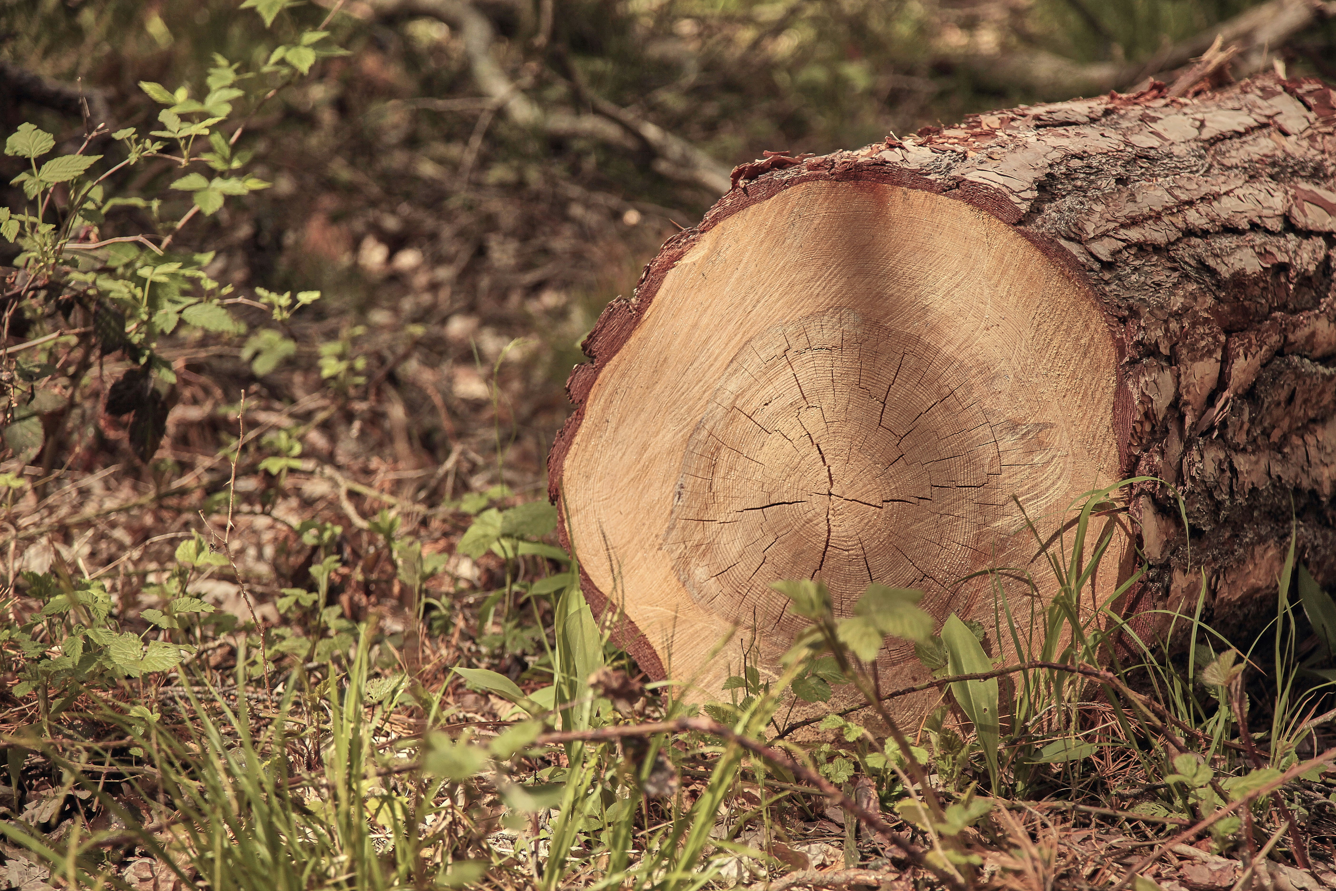 Photo by quadratmedia