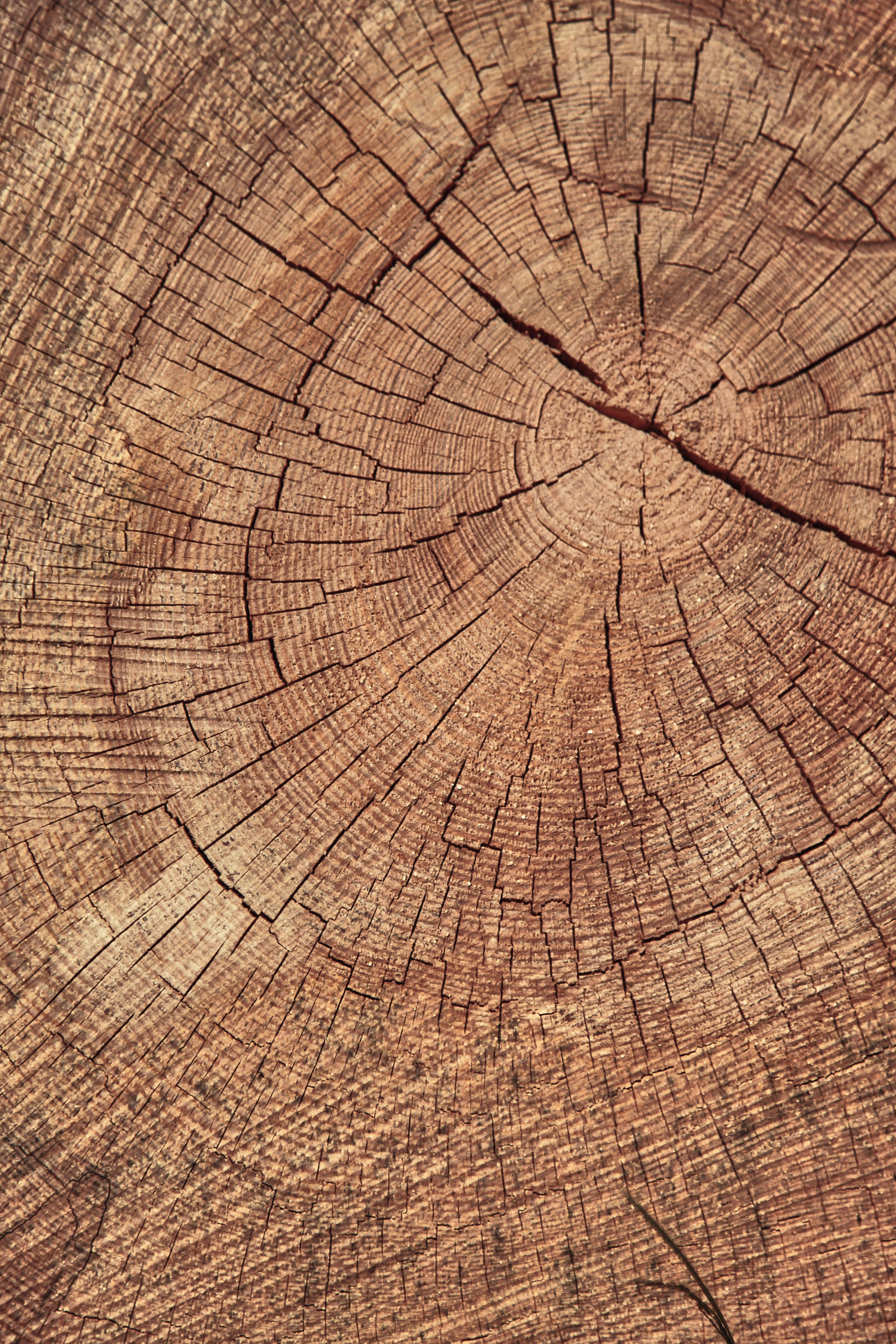 Photo by quadratmedia