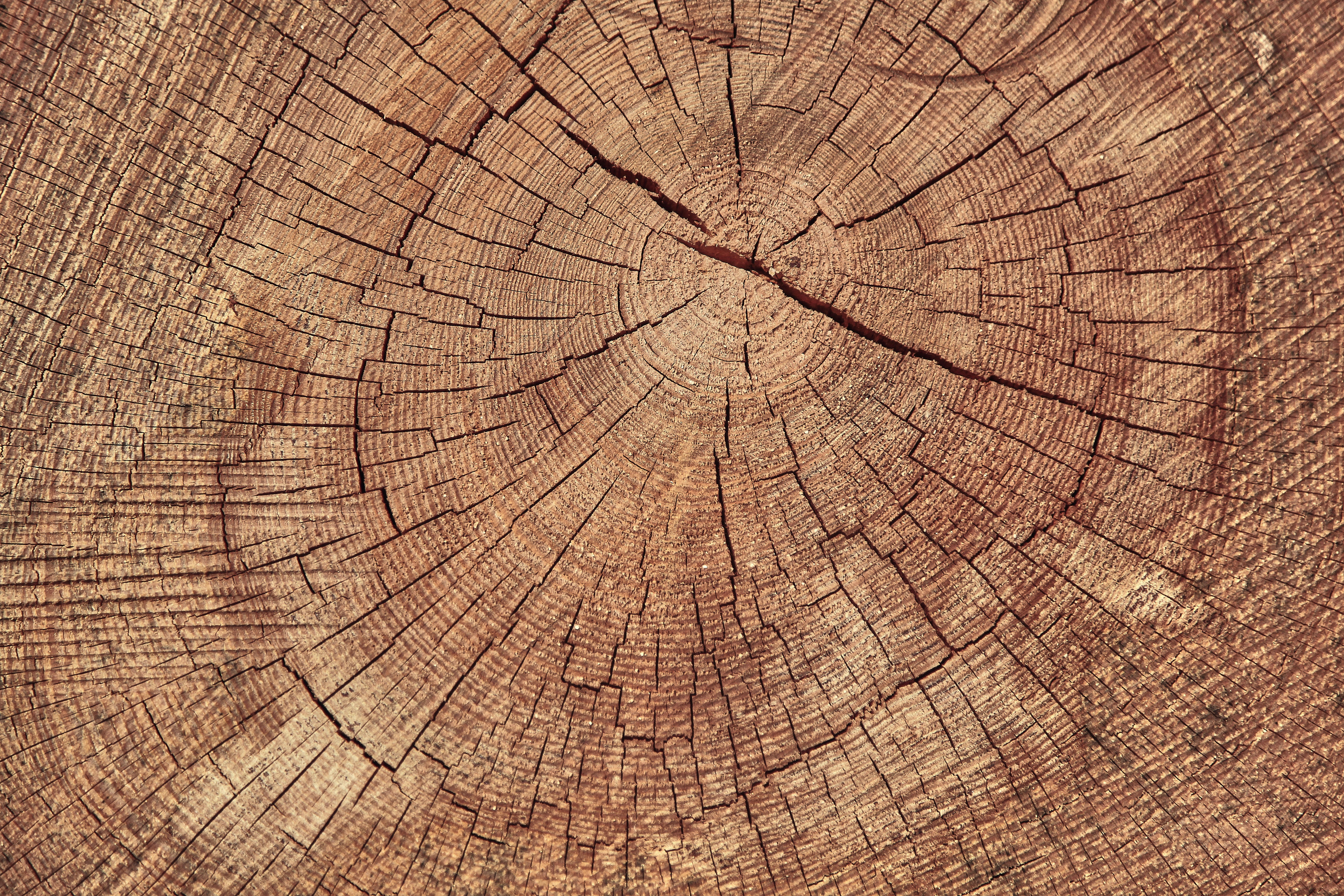 Photo by quadratmedia