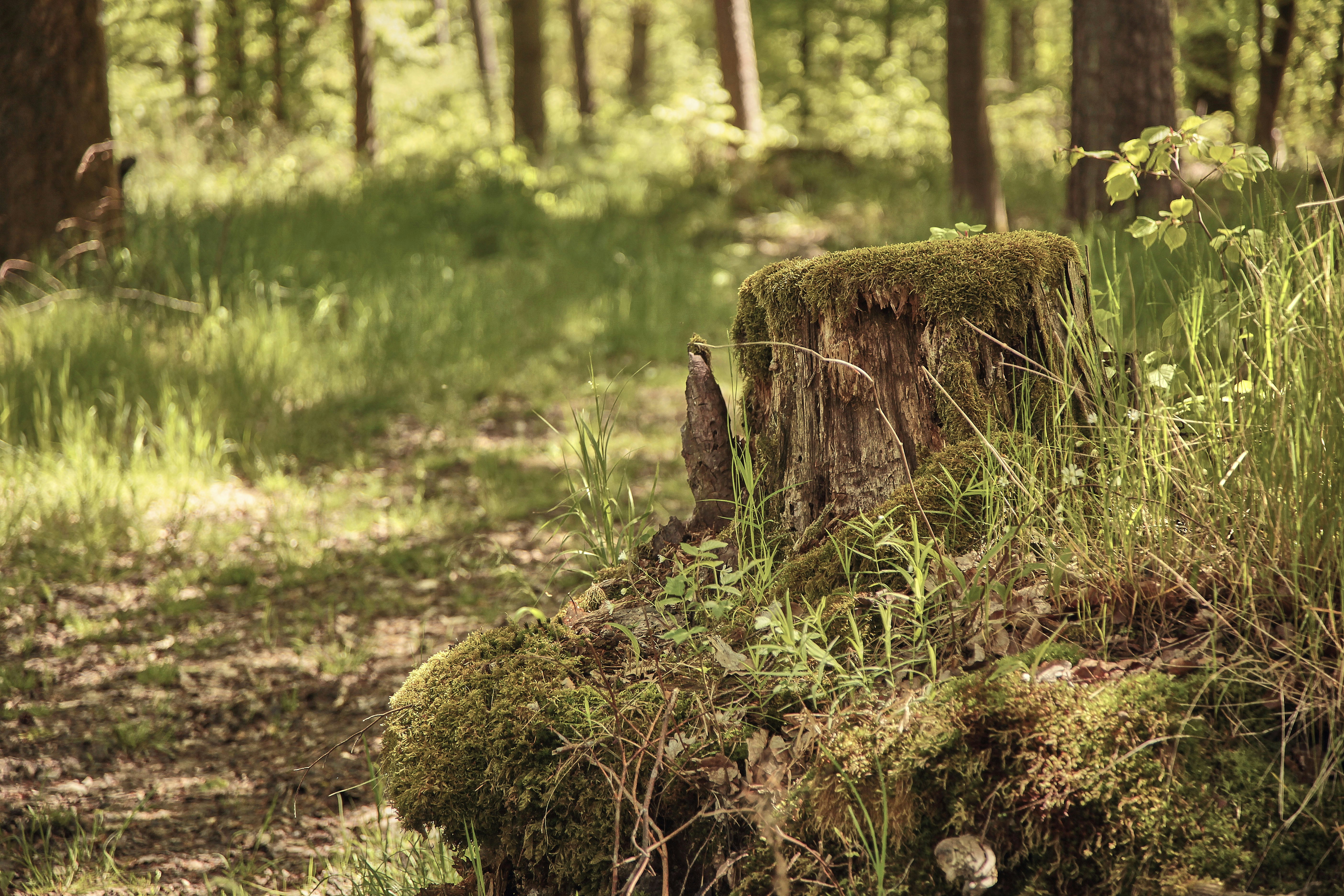 Photo by quadratmedia