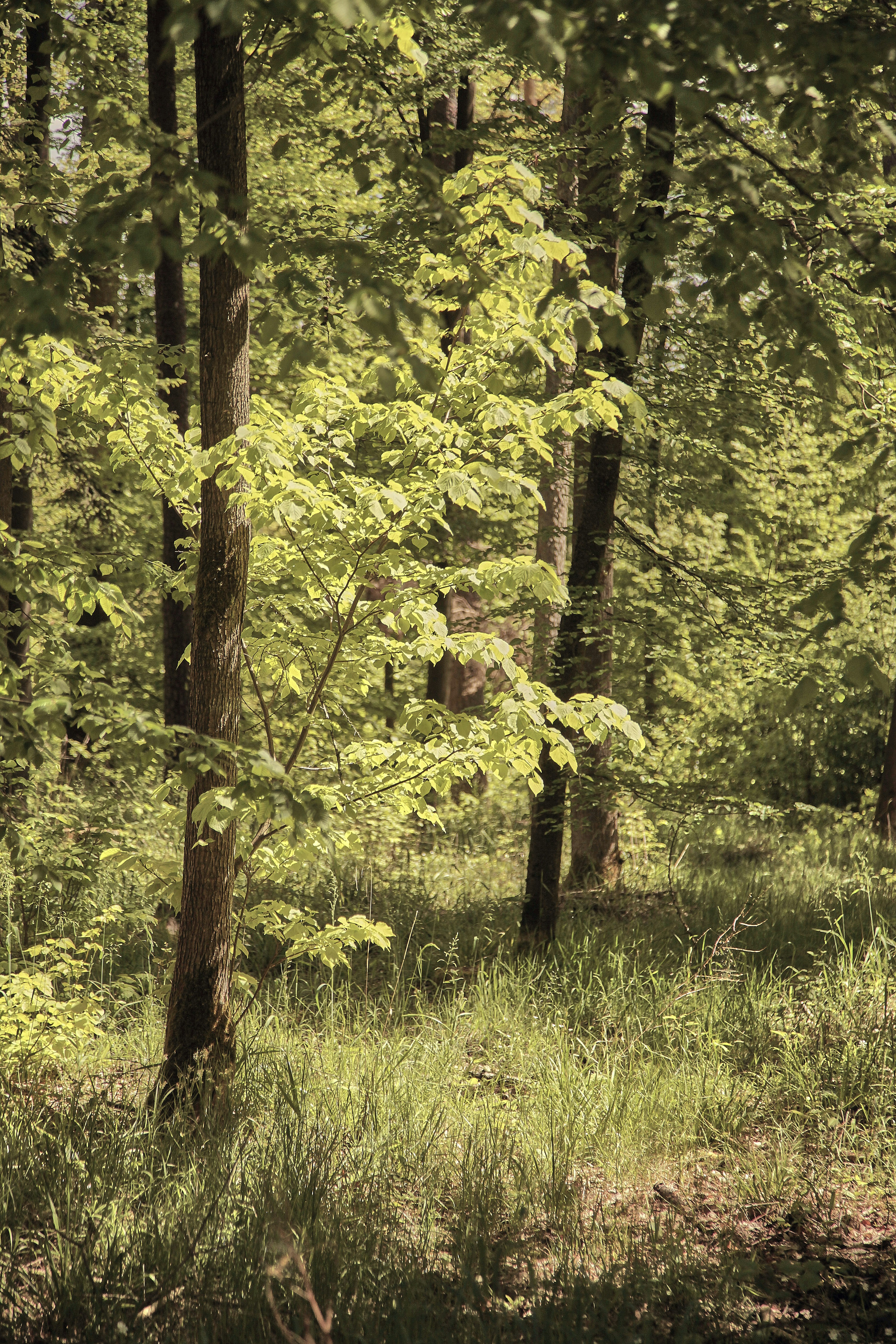 Photo by quadratmedia