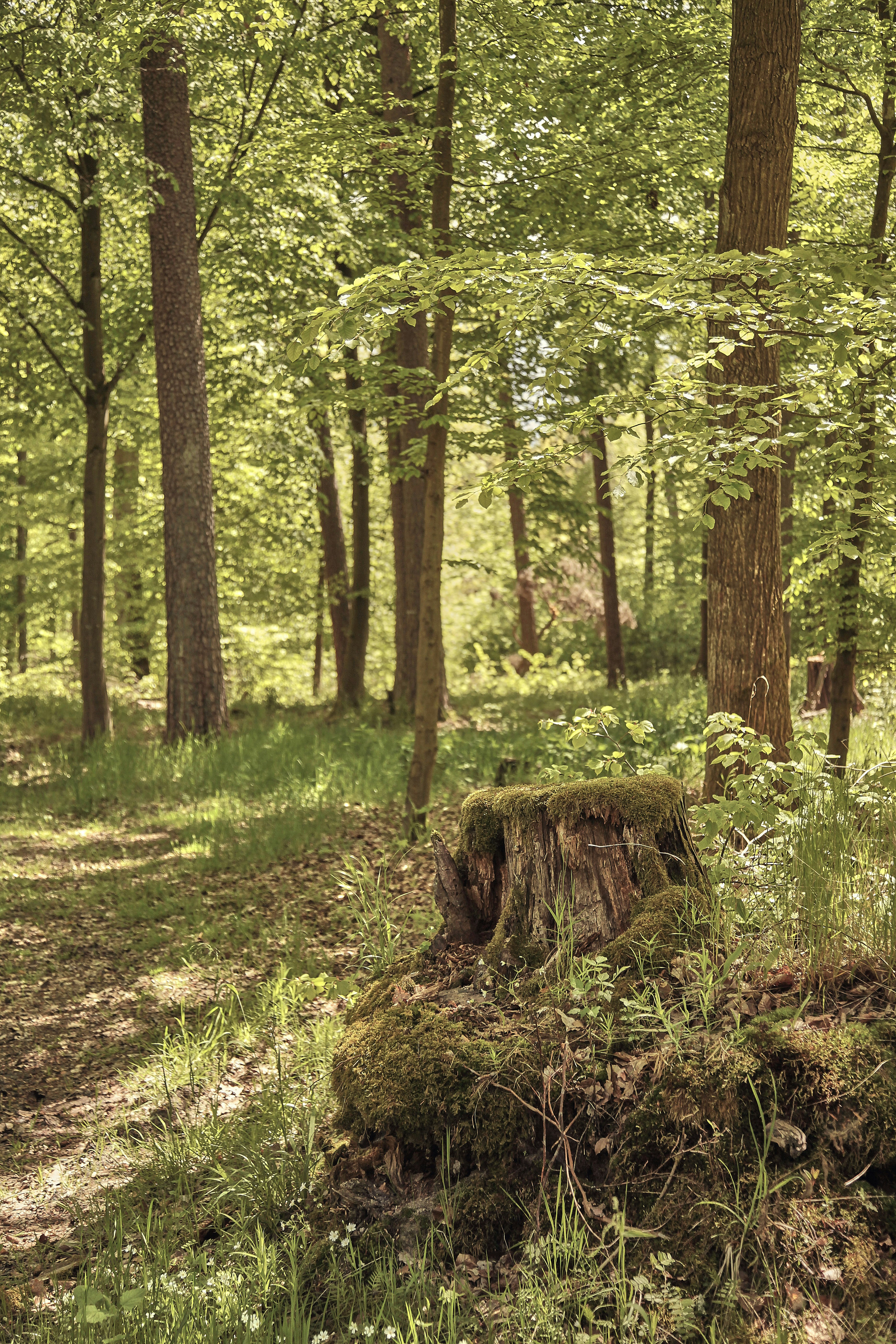 Photo by quadratmedia