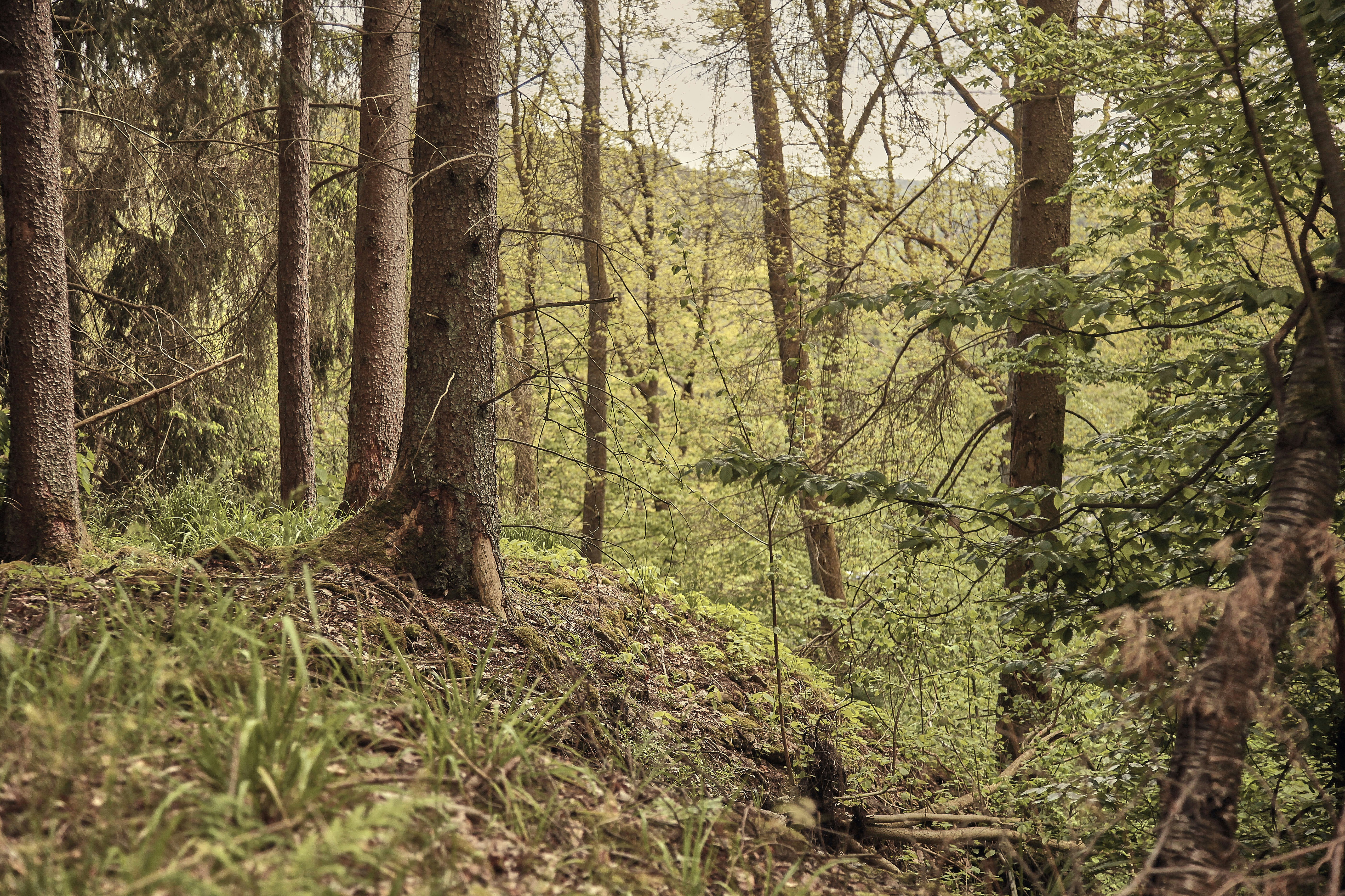 Photo by quadratmedia