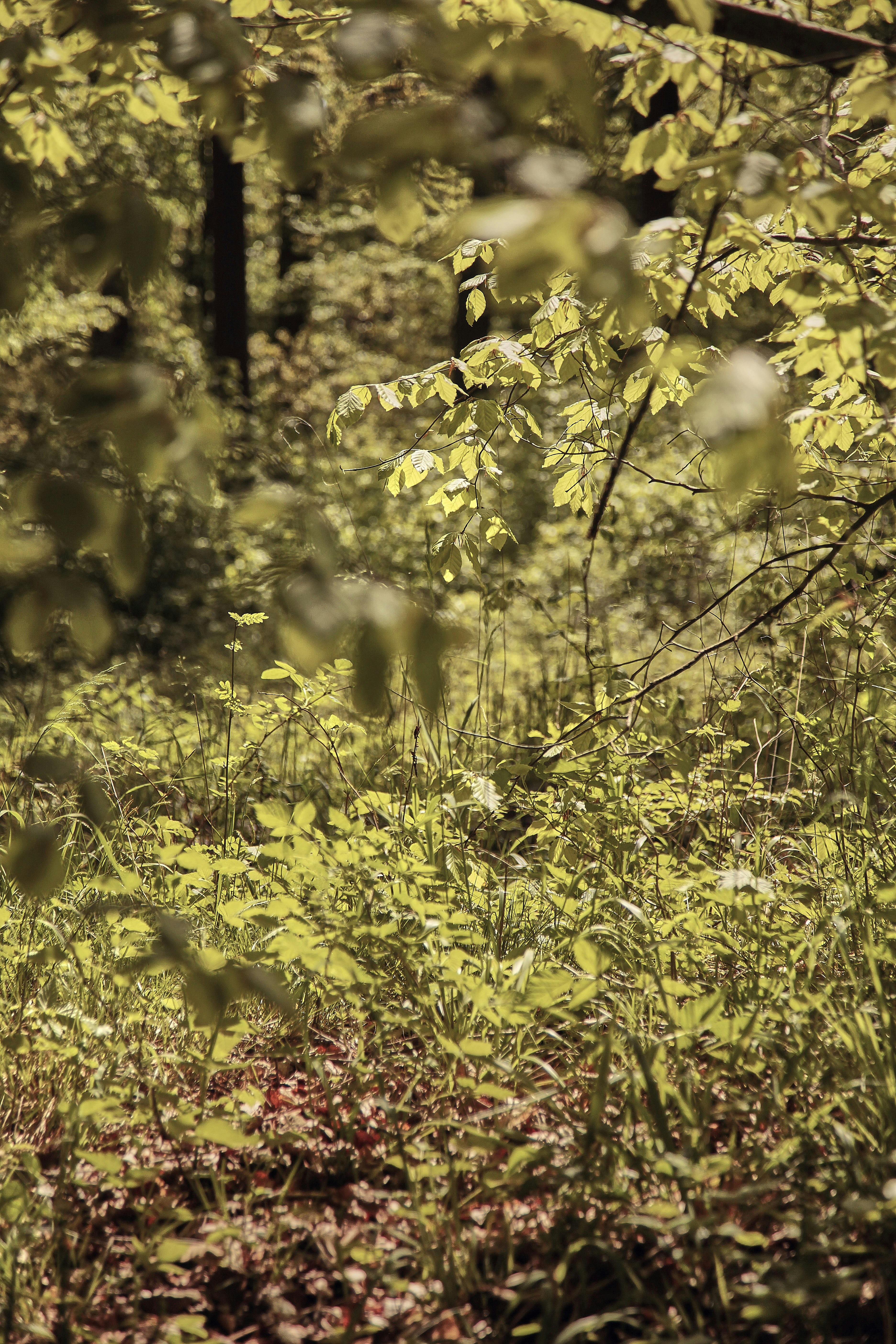 Photo by quadratmedia