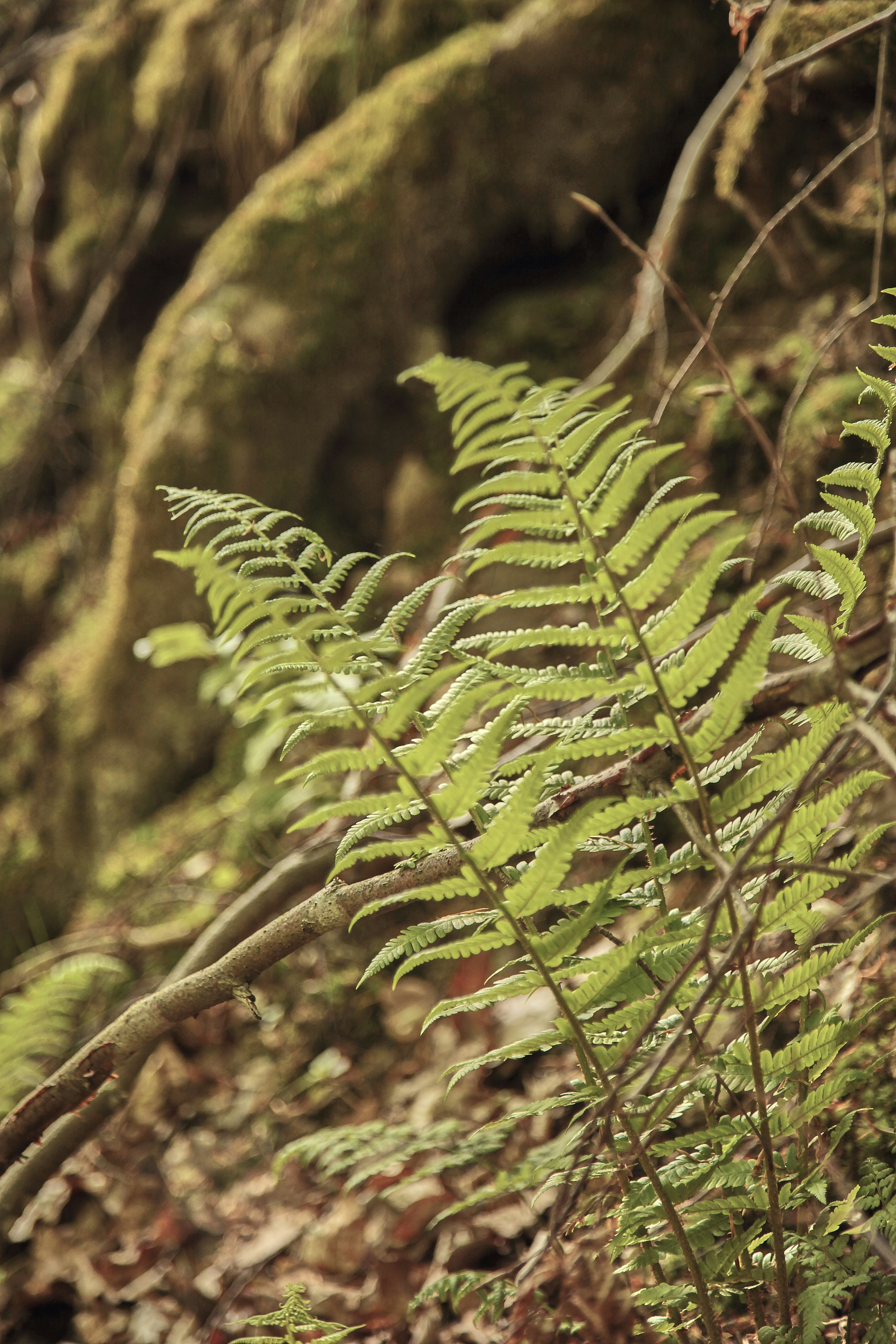 Photo by quadratmedia