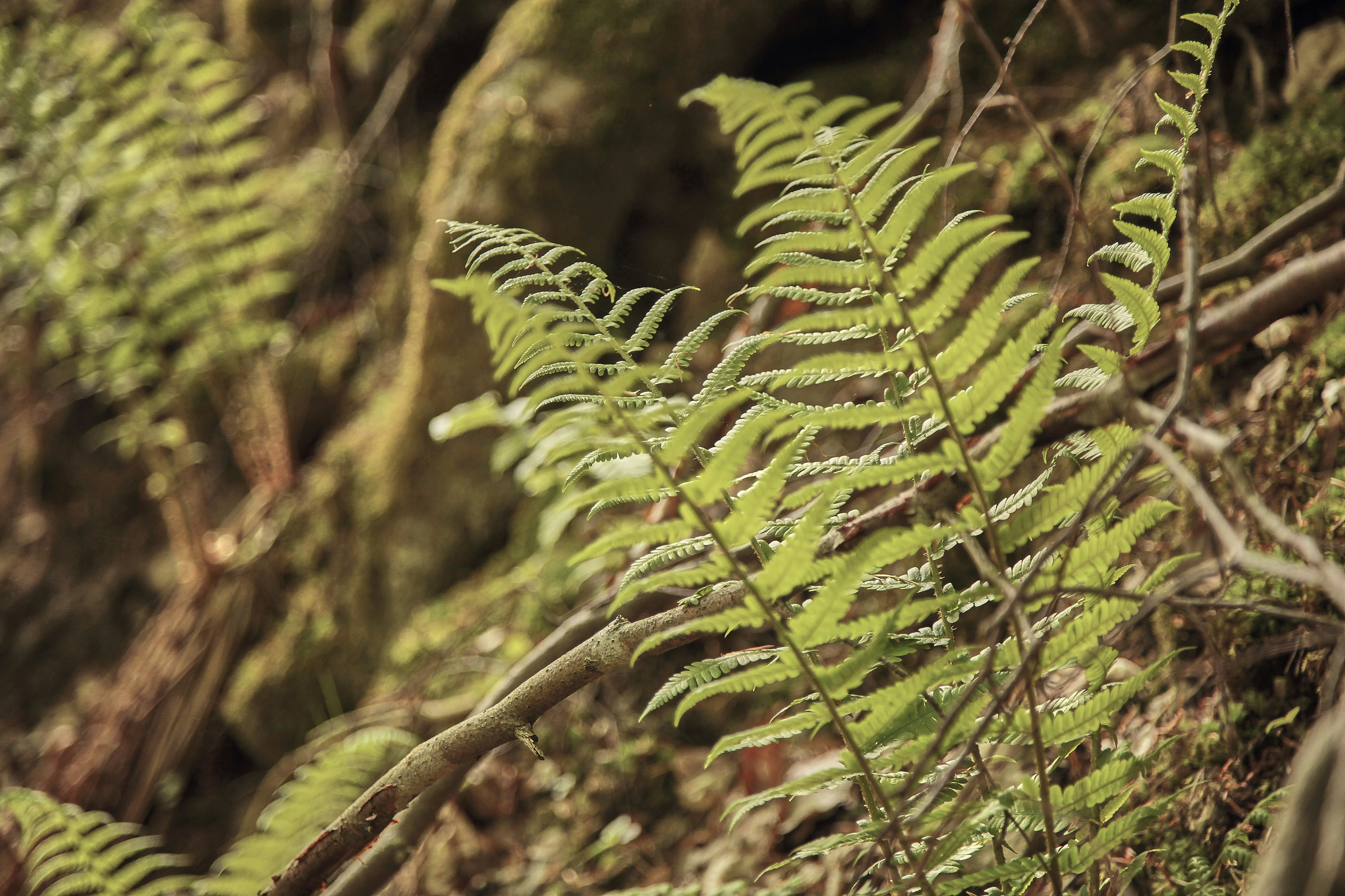 Photo by quadratmedia