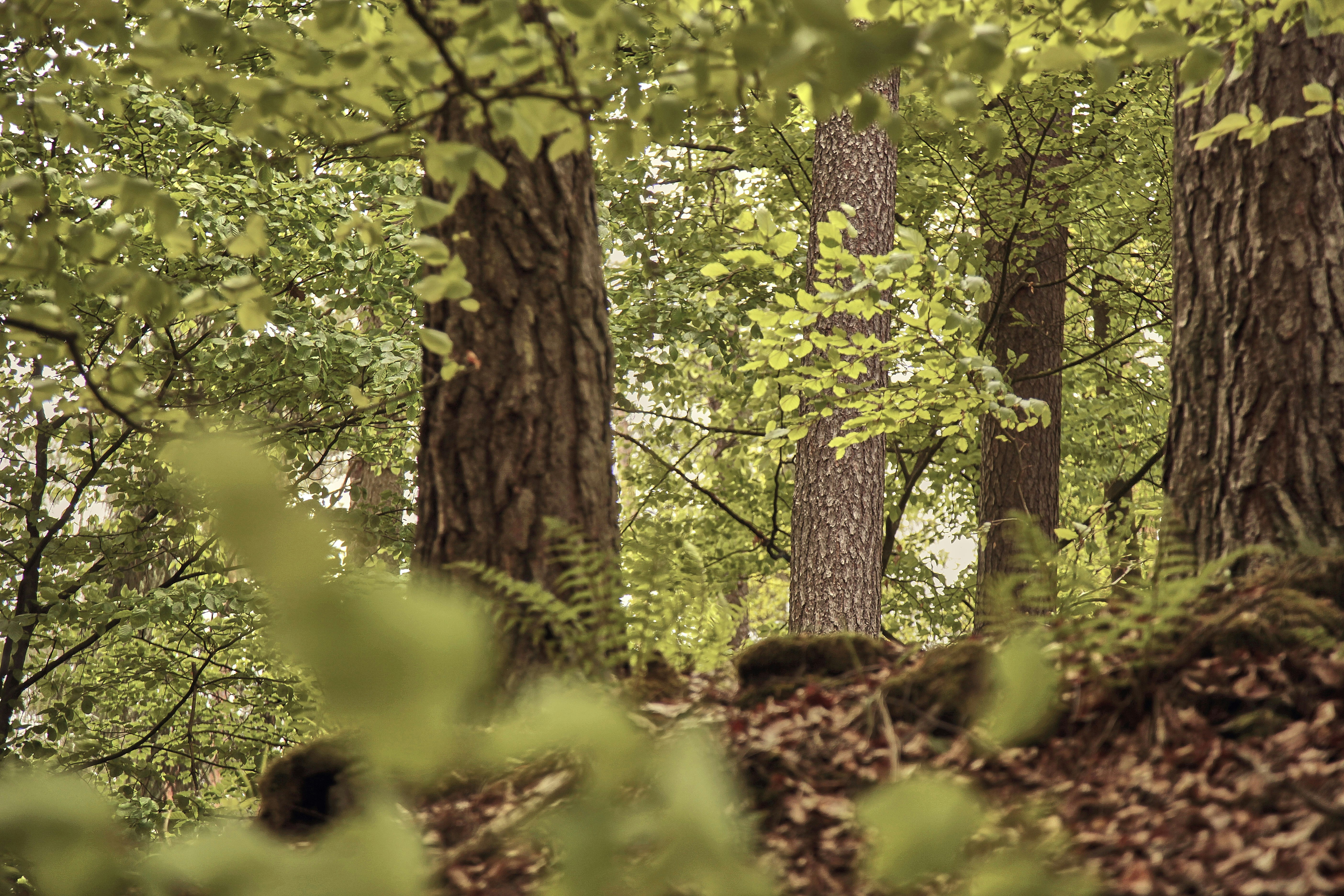 Photo by quadratmedia