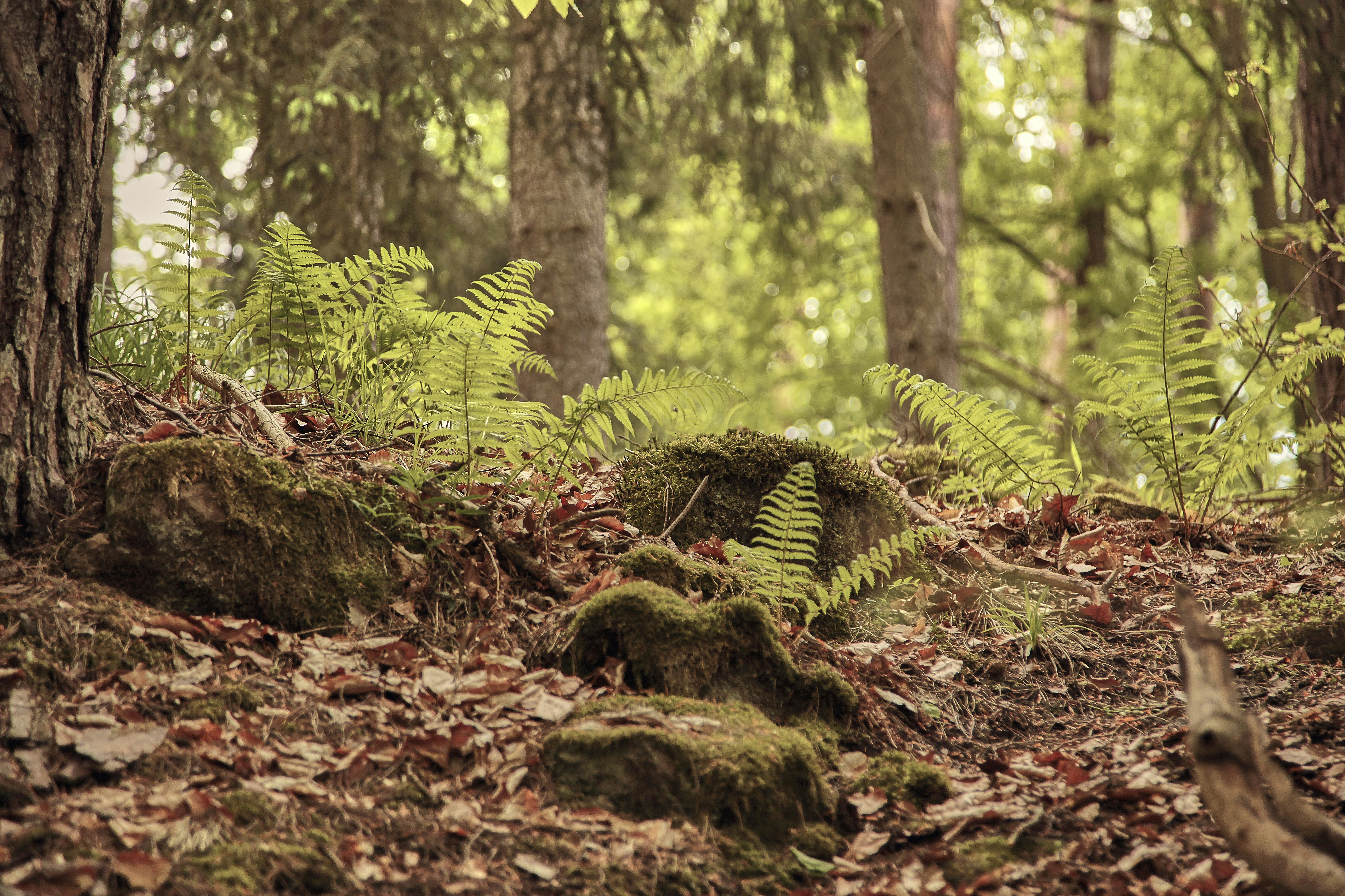 Photo by quadratmedia