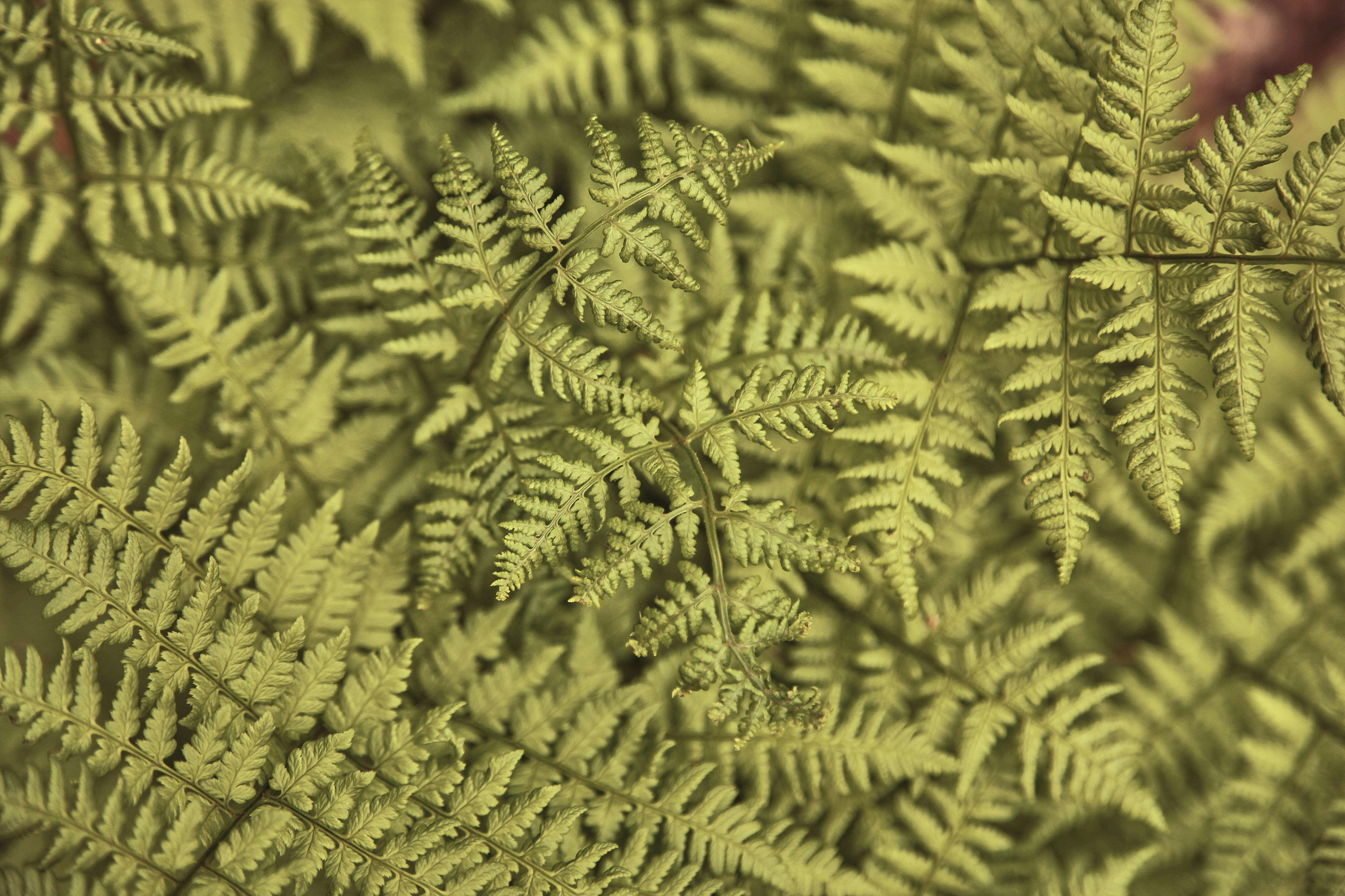 Photo by quadratmedia