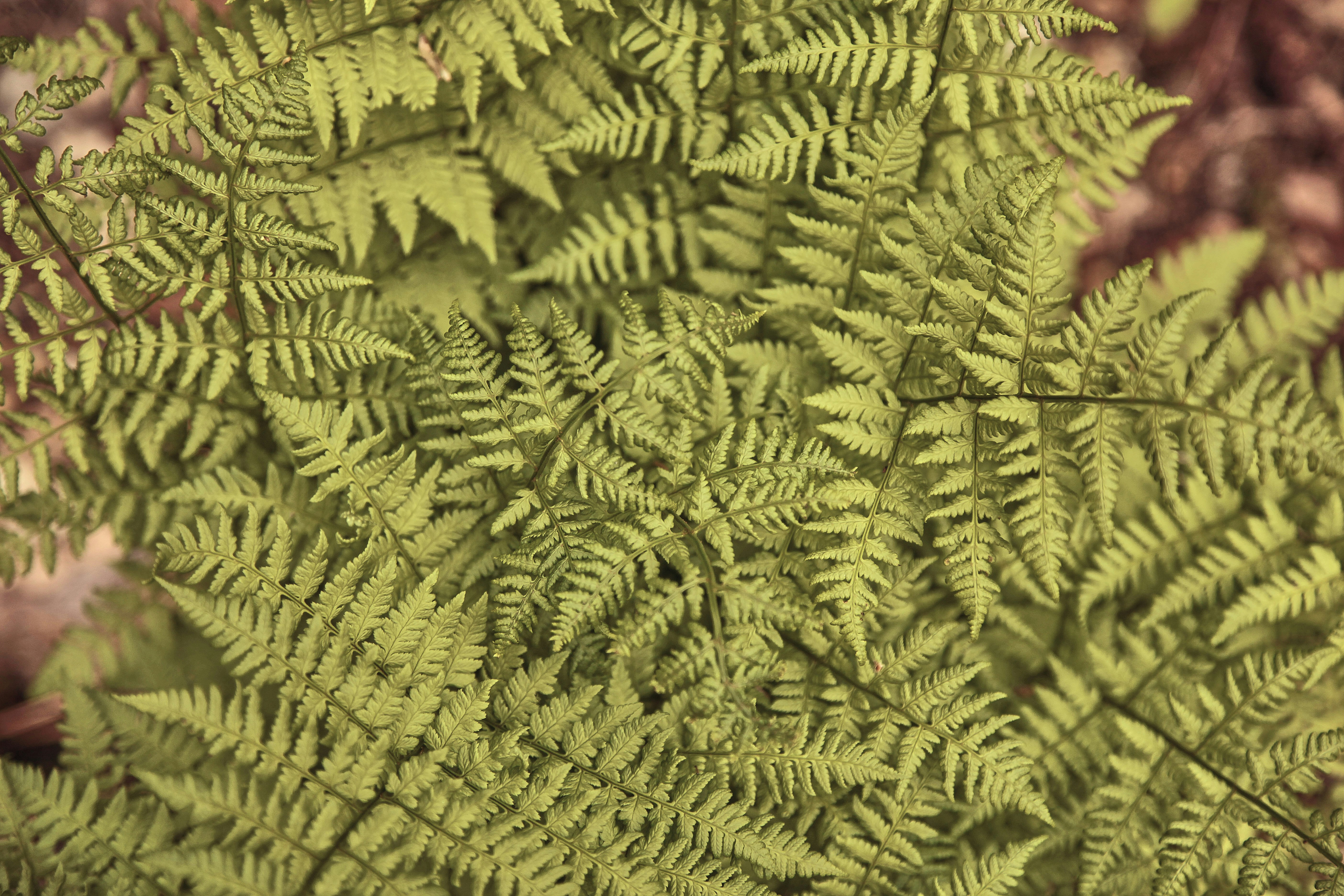 Photo by quadratmedia