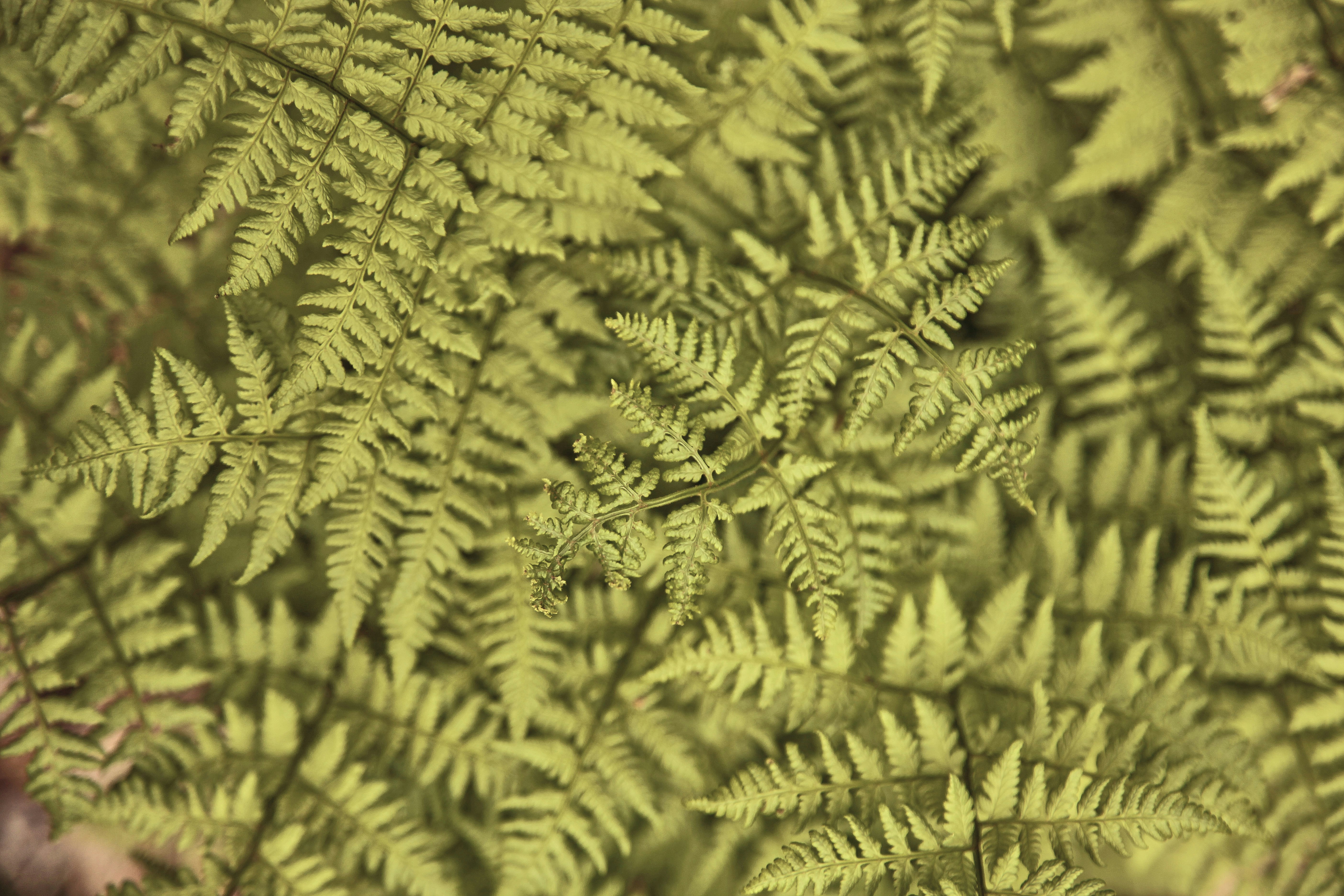 Photo by quadratmedia