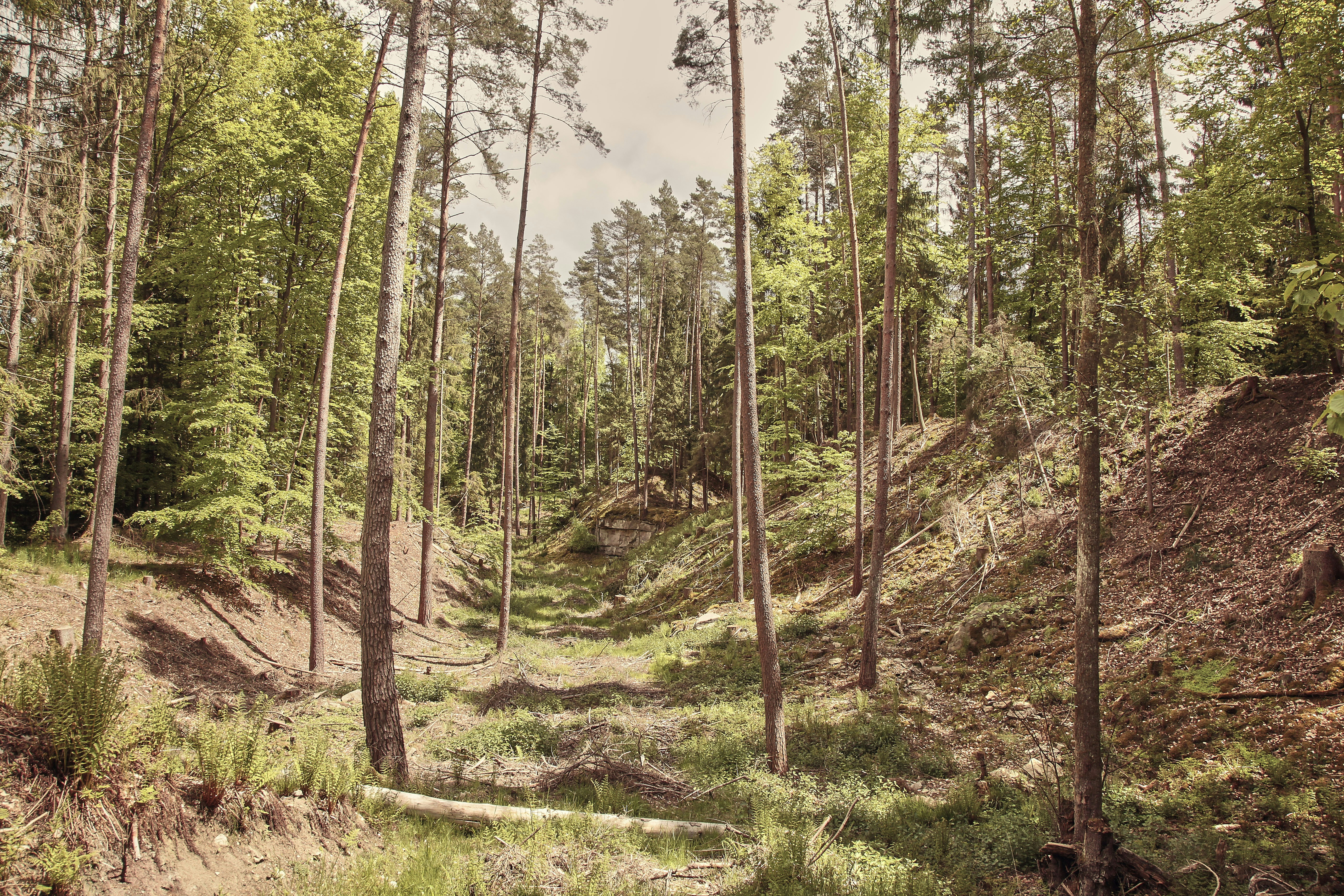 Photo by quadratmedia