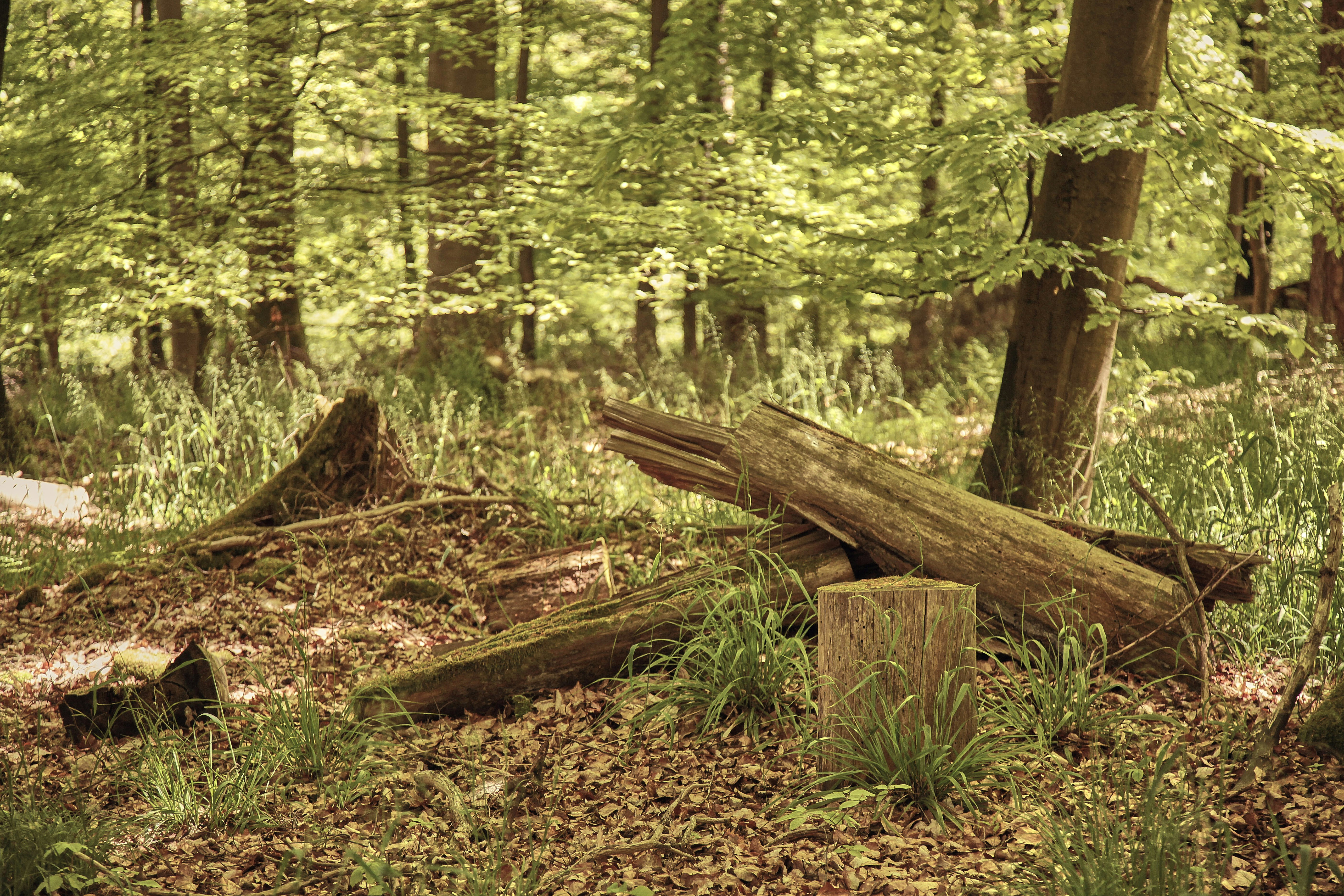 Photo by quadratmedia