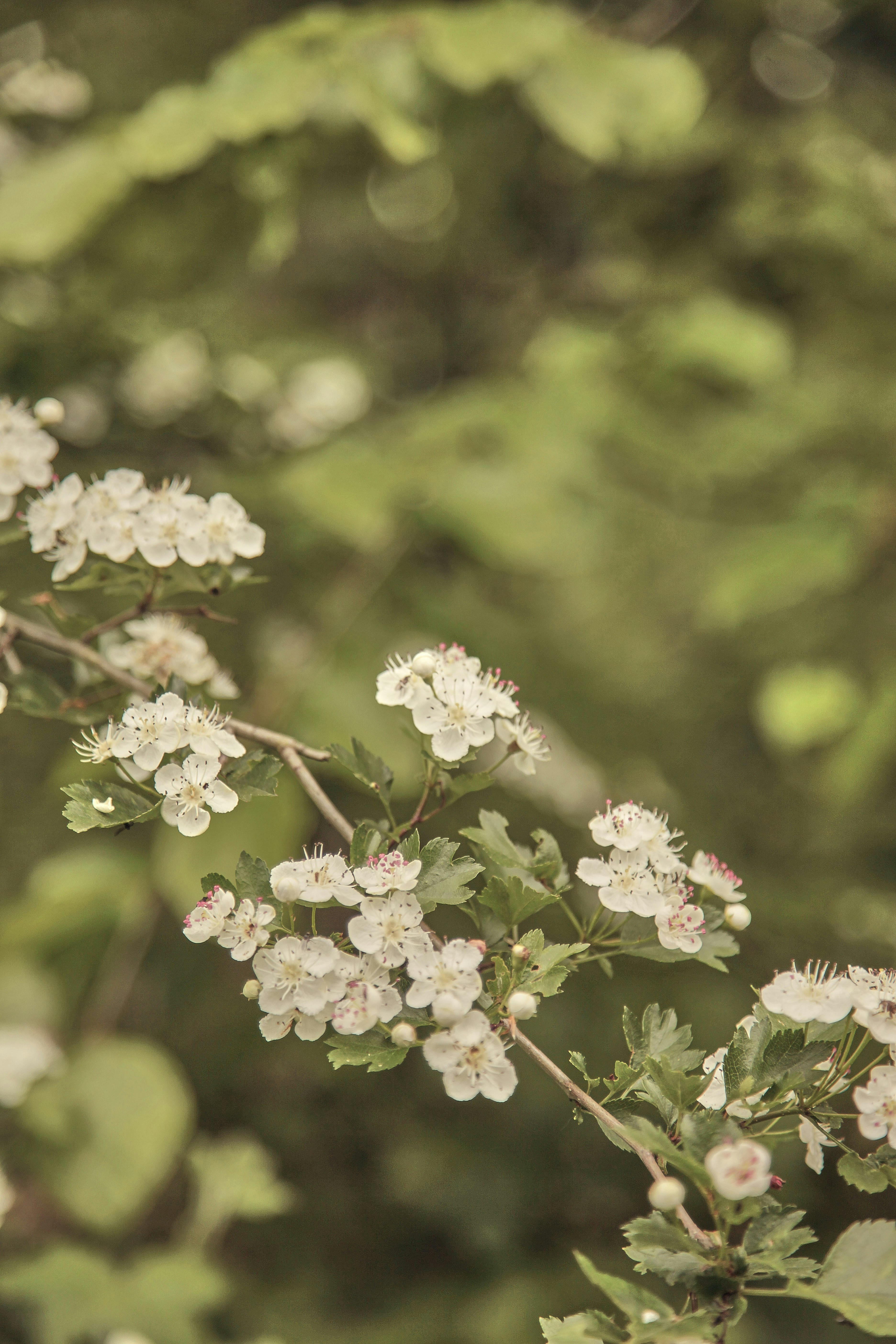 Photo by quadratmedia