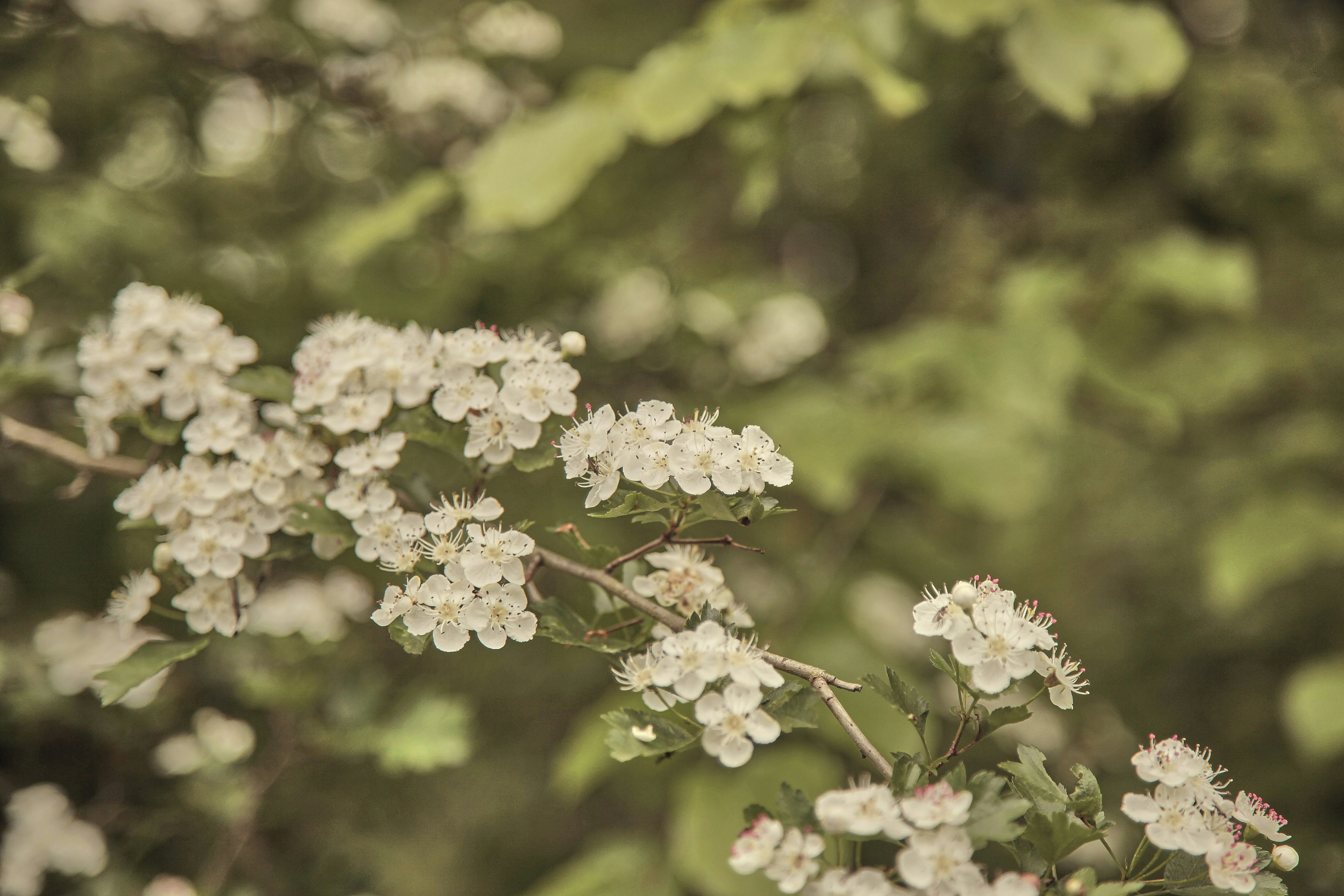 Photo by quadratmedia