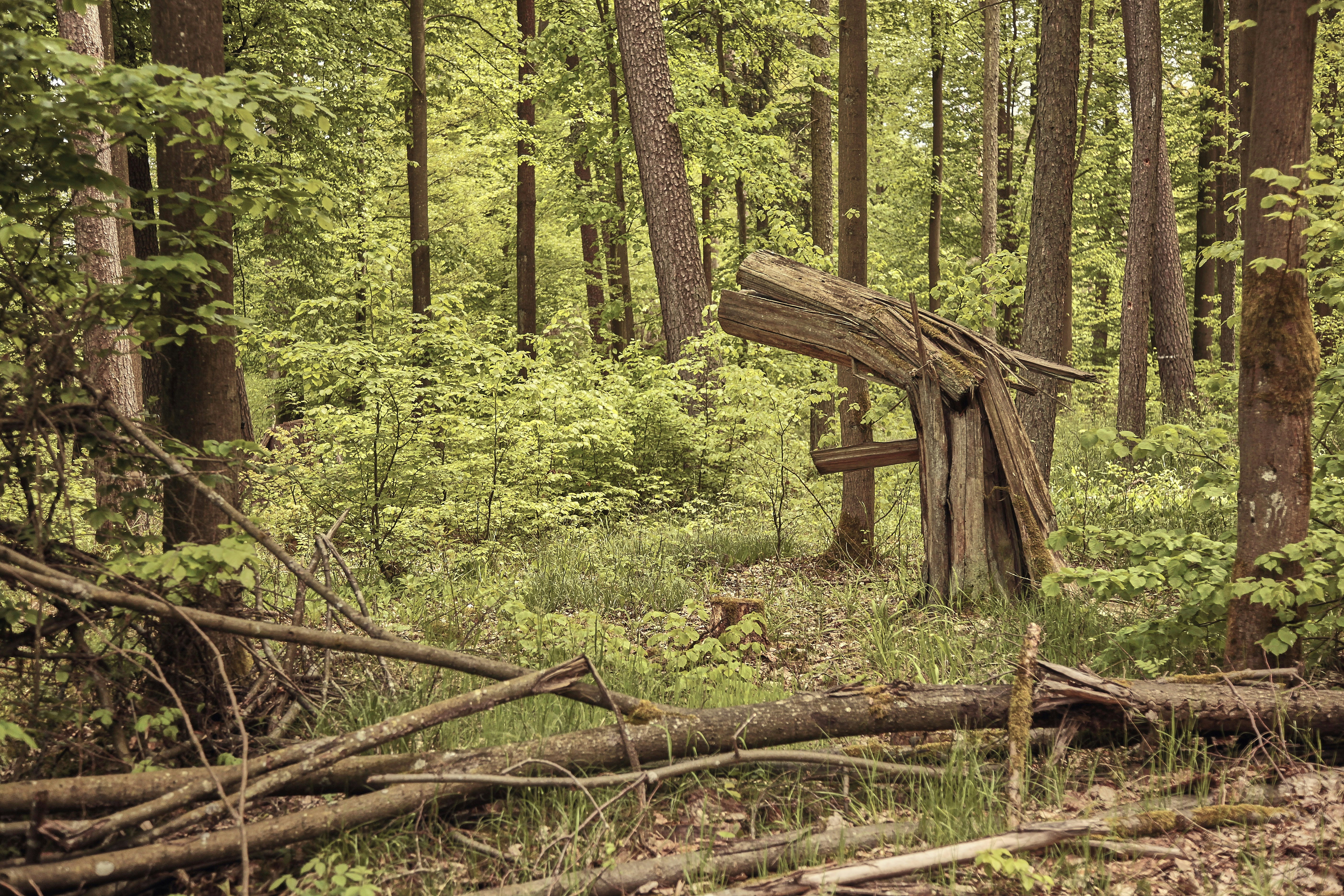 Photo by quadratmedia