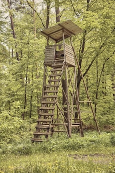 Best Climbing vs. Ladder vs. Hang-On Stands