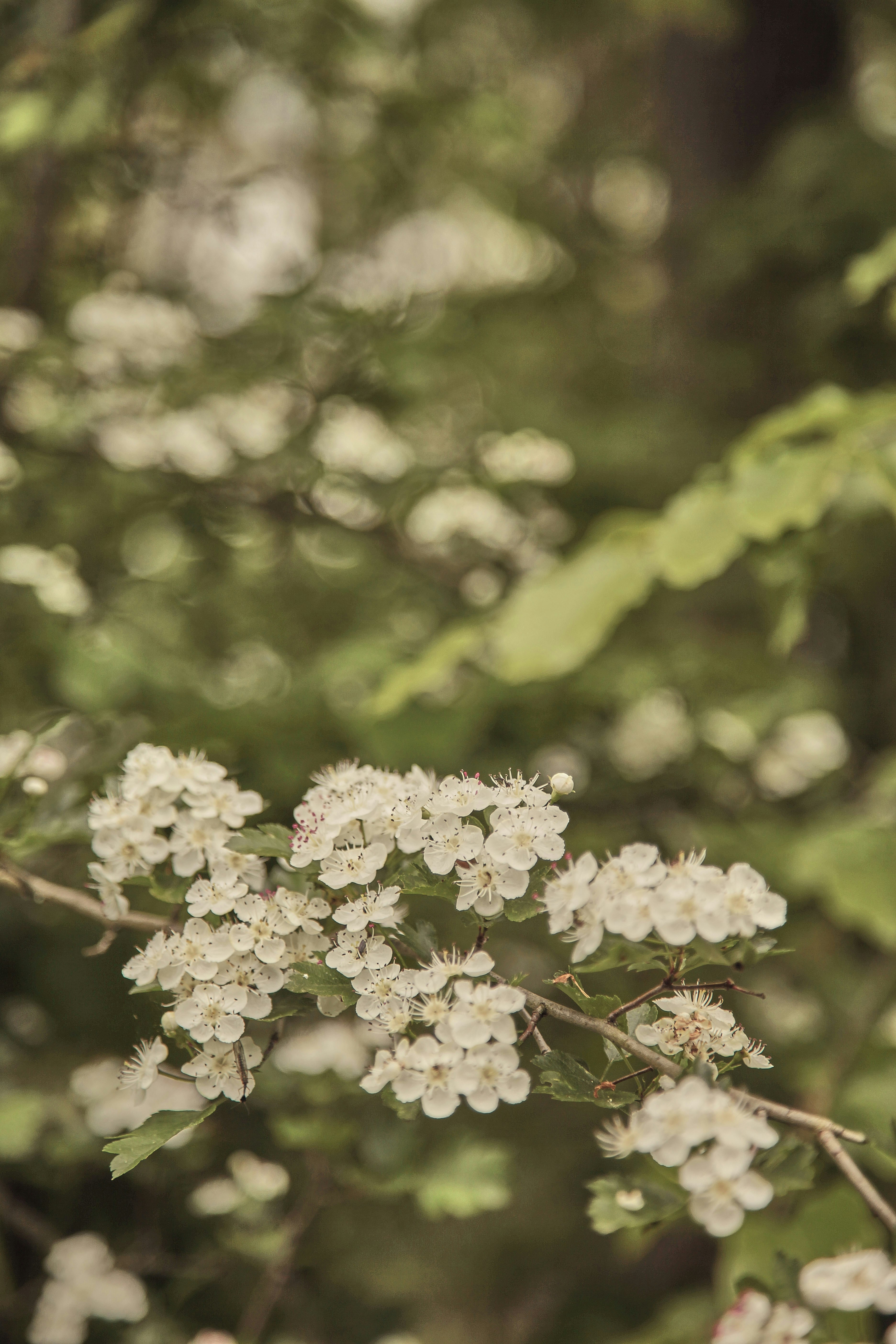 Photo by quadratmedia