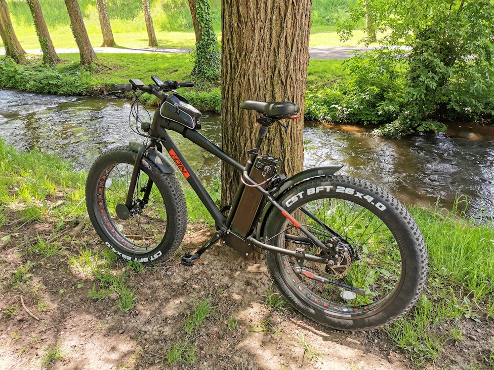 Foto bicicleta de montaña negra y gris junto al tronco de un árbol marrón –  Imagen Vehículo gratis en Unsplash