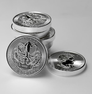 silver and gold round coins