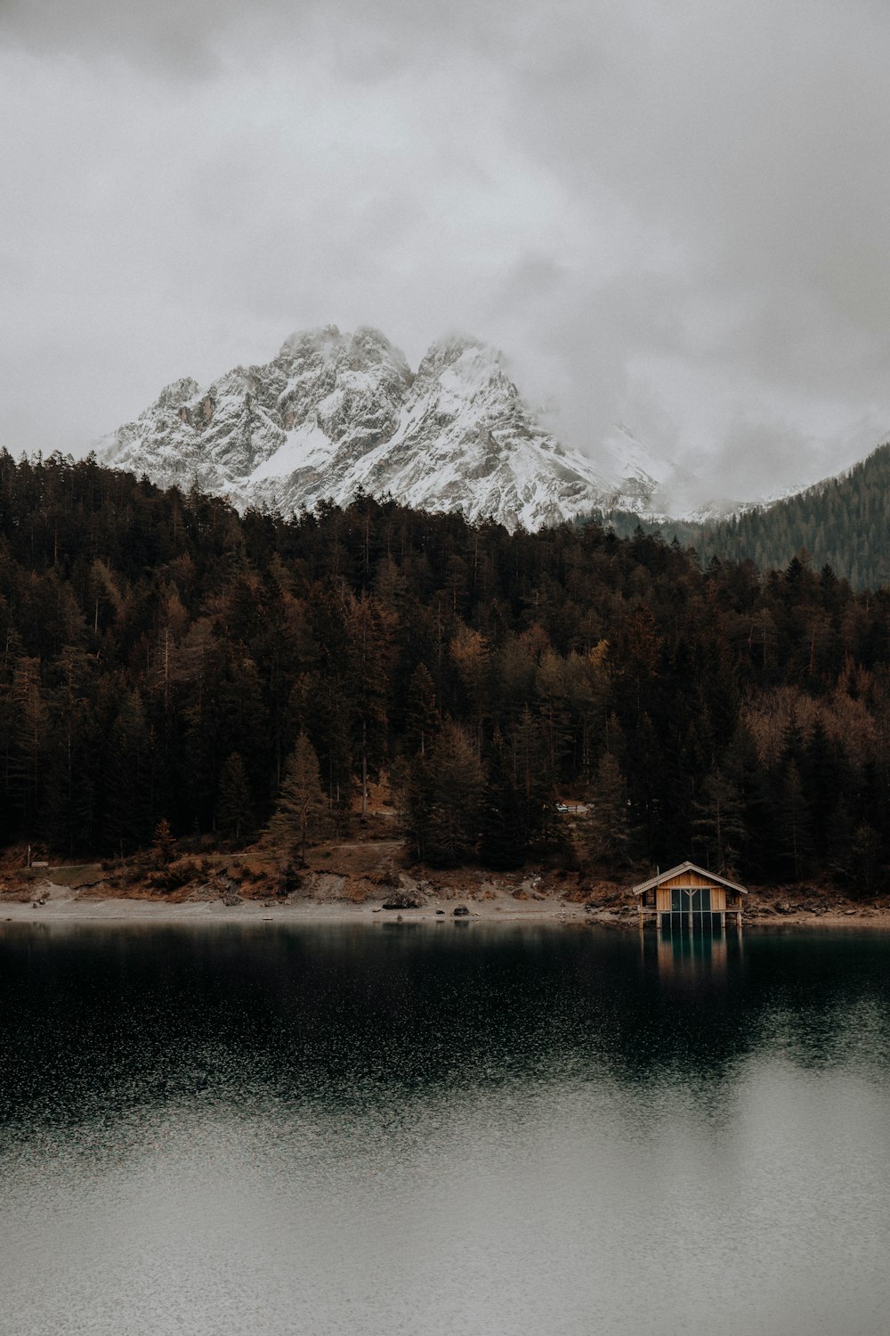 lake surrounded by trees and snow covered mountain