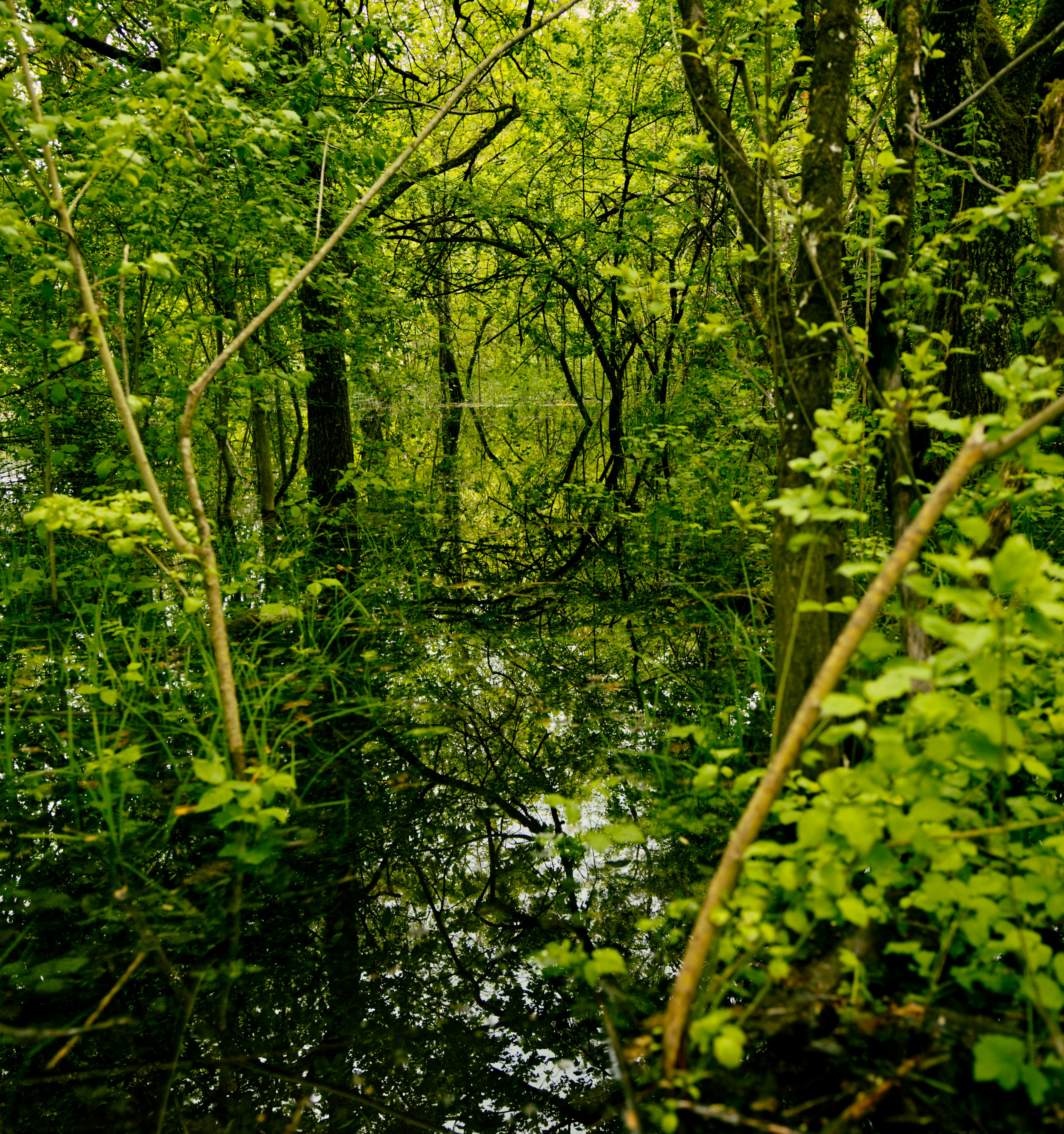 Photo by photasticlab