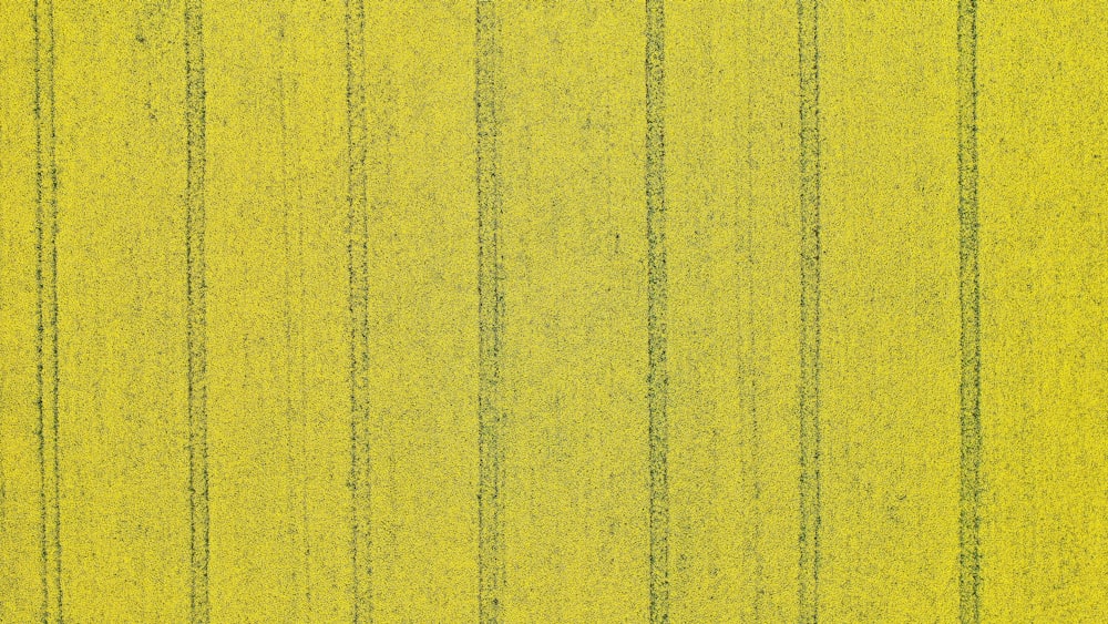 yellow and black striped textile