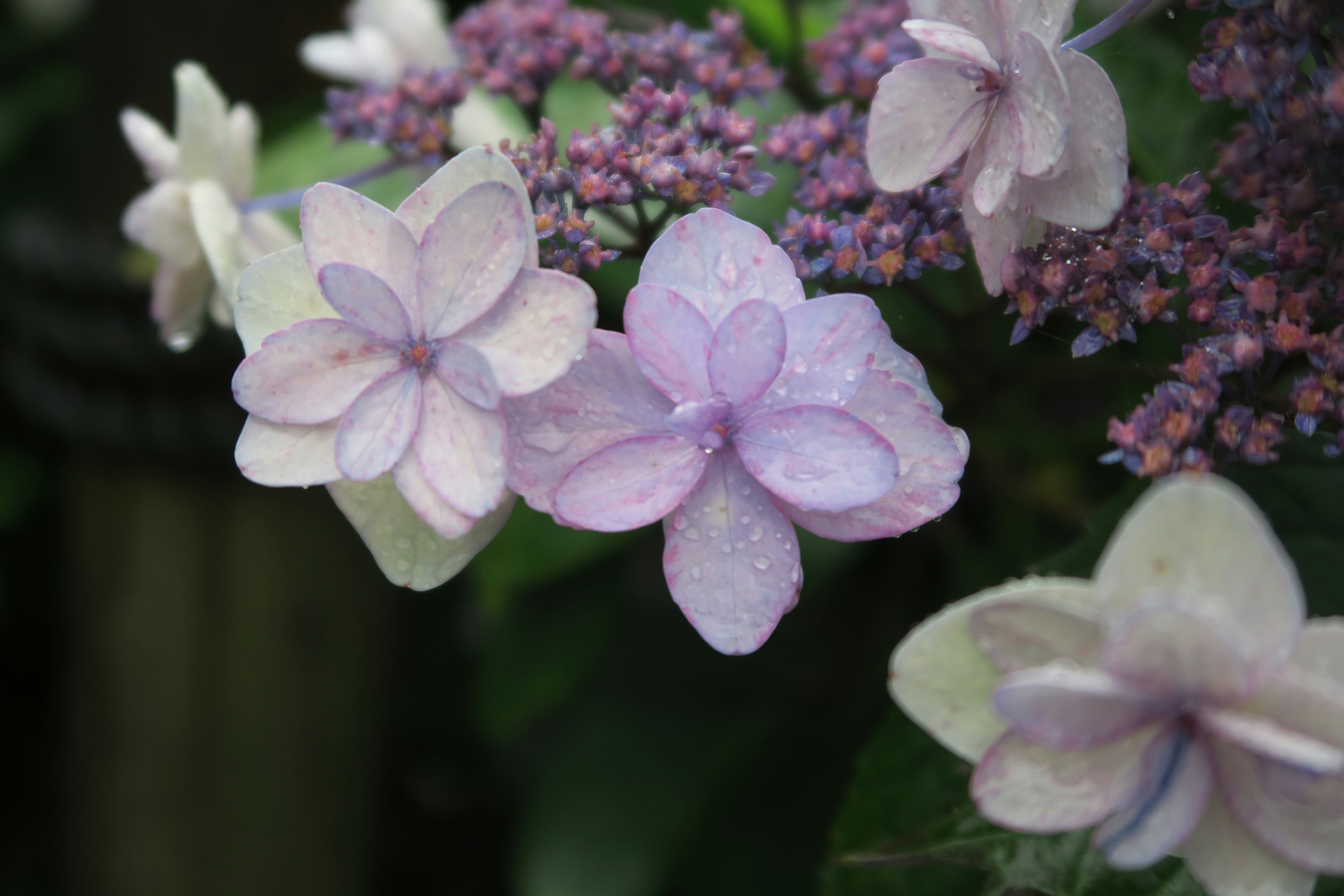 How To Find Cheap Stand Up Paddleboards