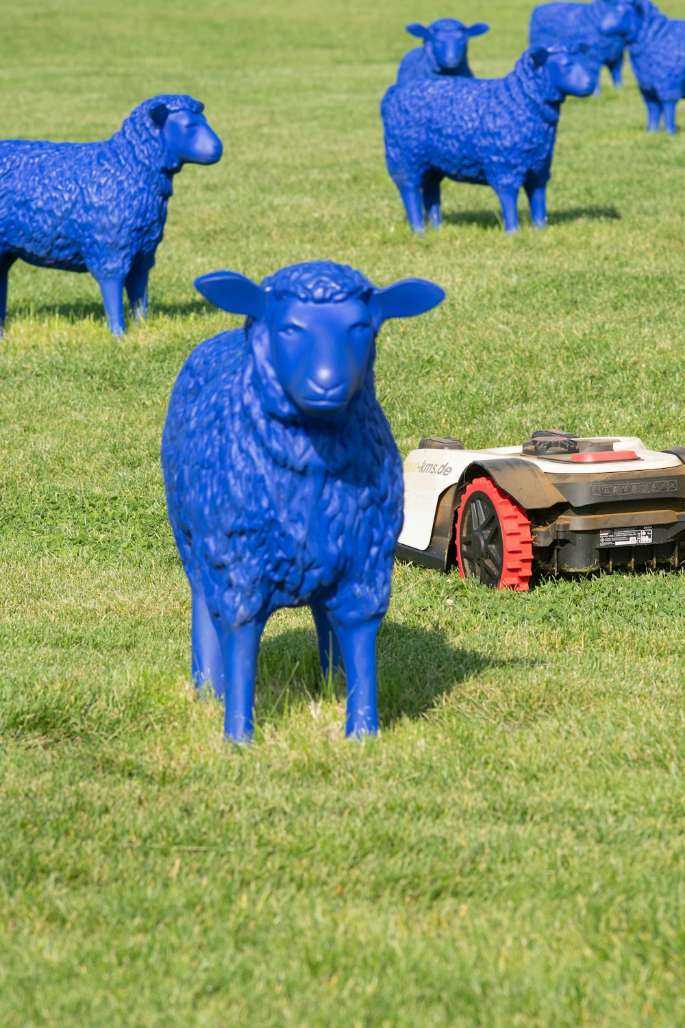blue animal statue on green grass field during daytime