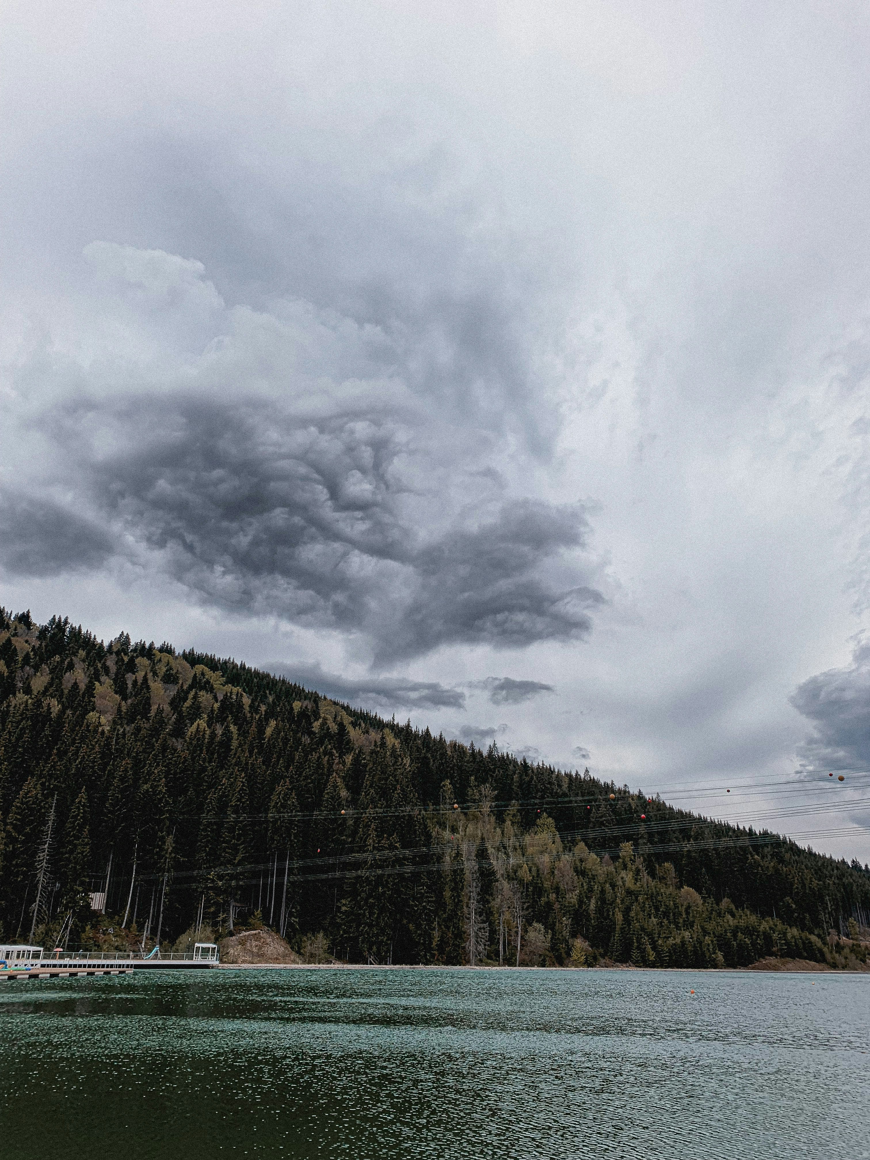 green trees near body of water under cloudy sky during daytime