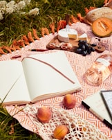 A snapshot of a shared picnic blanket with homemade snacks and a sketchbook open.