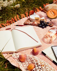 A picnic scene with a patterned orange and white blanket spread over grass. Various items are arranged on the blanket, including an open notebook with a brown ribbon bookmark, a collection of fruit such as peaches and grapes, a cut round of cheese with a cheese knife, prosciutto, half a cantaloupe, a loaf of bread, and a bottle of rosé wine. A book by F. Scott Fitzgerald is also visible alongside a net bag containing more peaches. White flowers can be seen on the grass border.