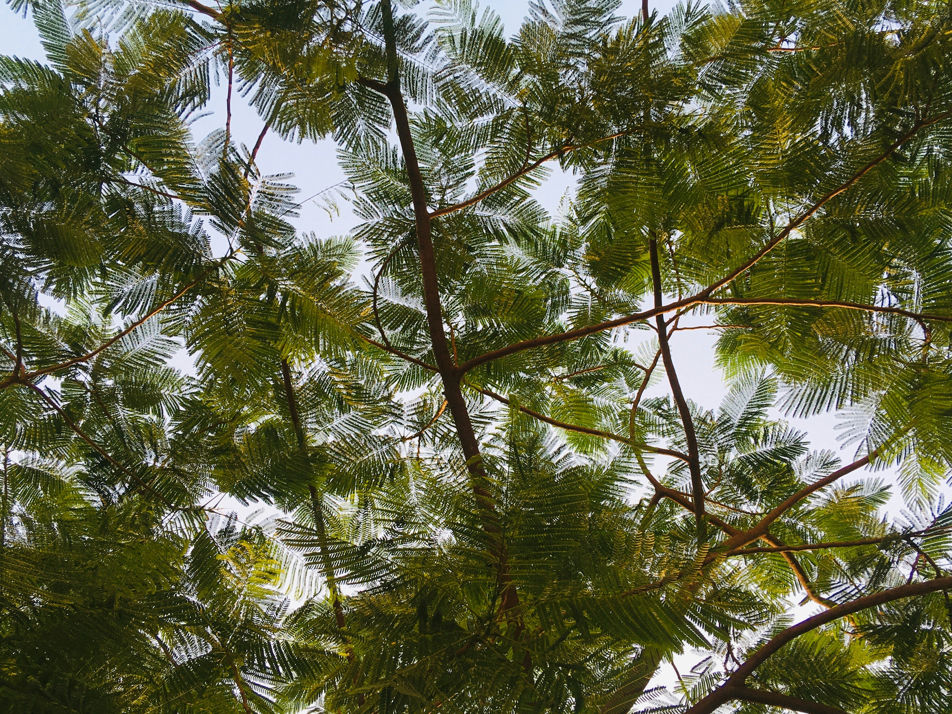 Photo by meghagautam