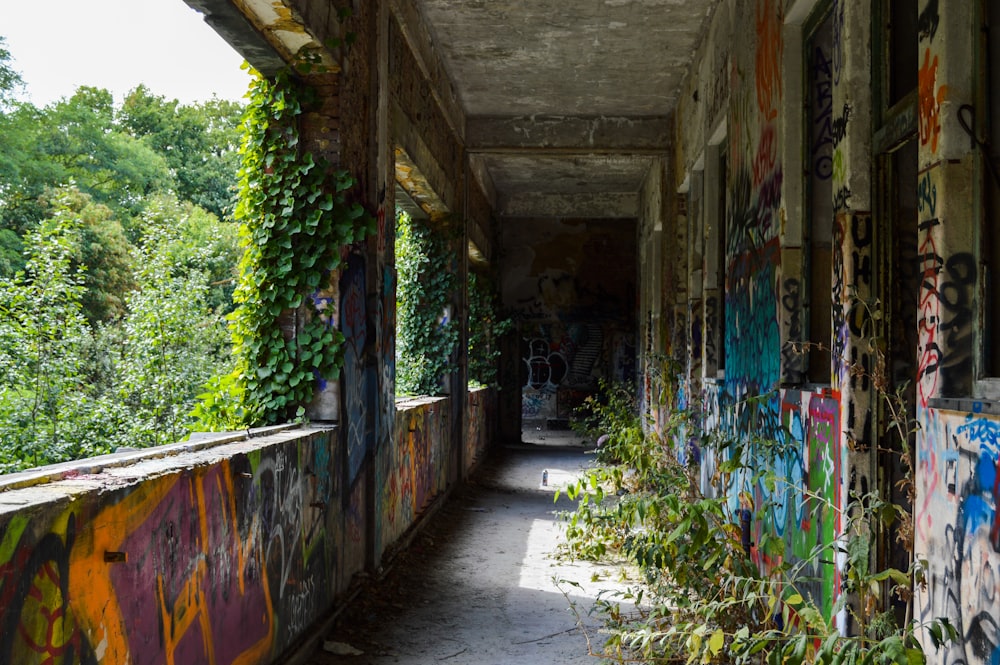 green plants on brown wooden wall