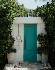 green plant on white concrete pot