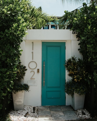 green plant on white concrete pot