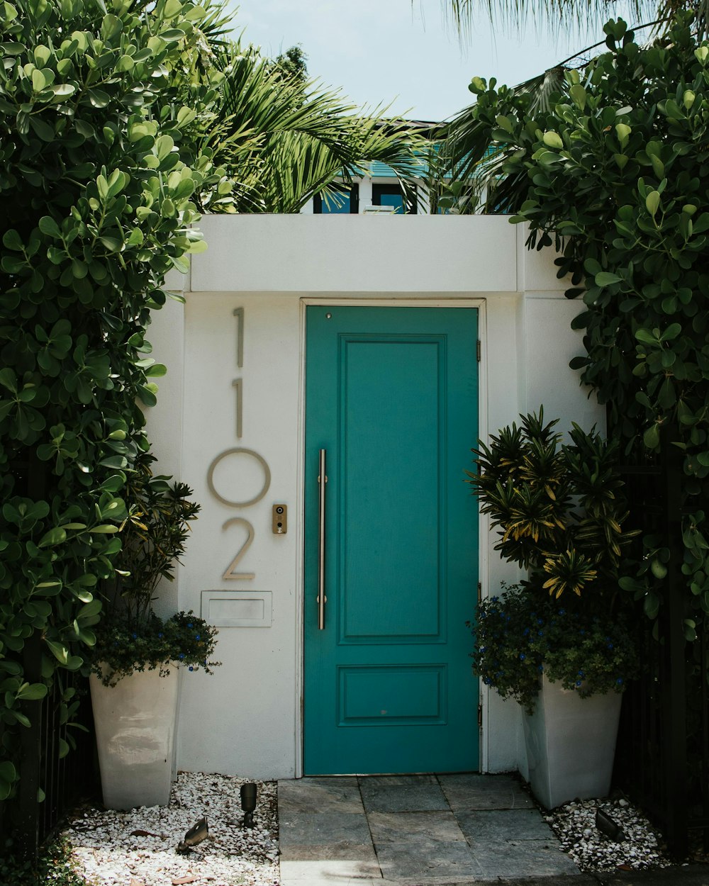 green plant on white concrete pot