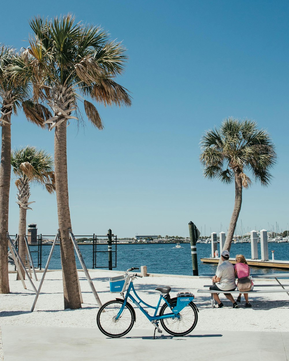 woman in white shirt sitting on bench near palm trees during daytime