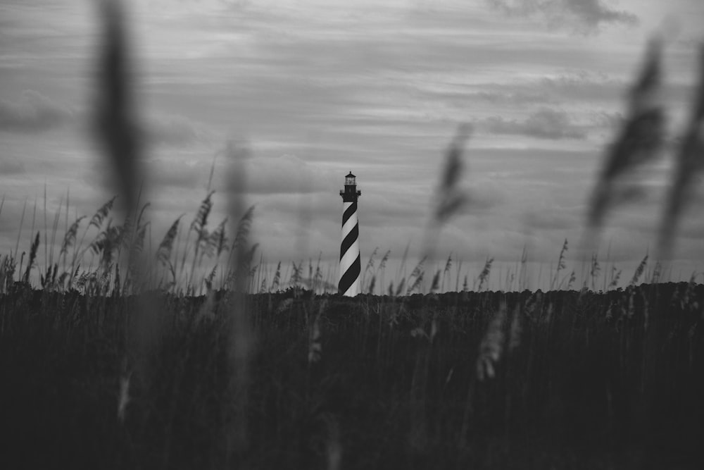 grayscale photo of person in stripe shirt standing on grass field